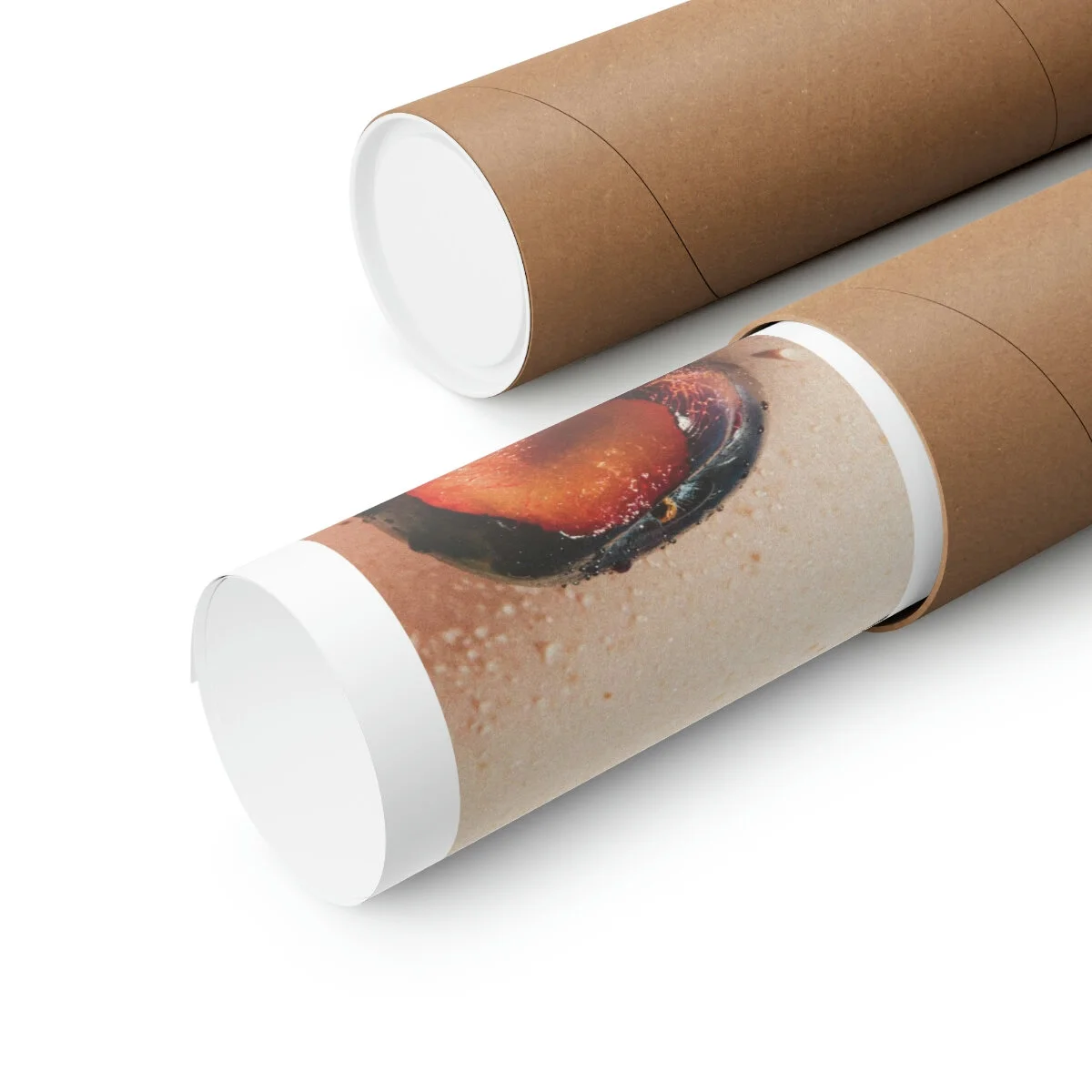 bbfafb162dfd0bed96f15f0a01277598