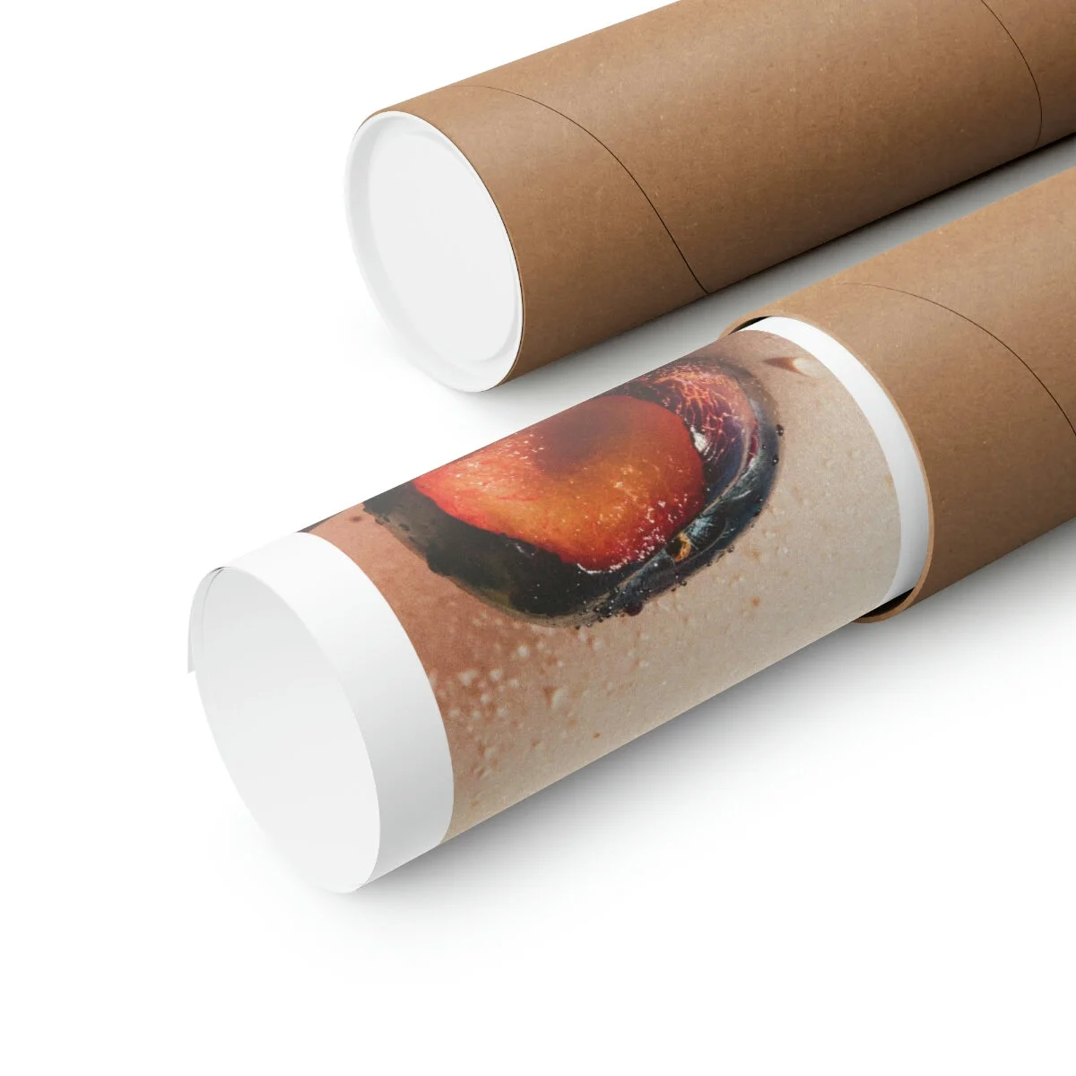 4e635b09be2248e0d9a953c5076ead95