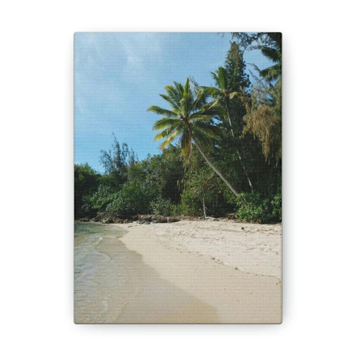 8b8b7ac48c7667c8c1f0f63f94214146