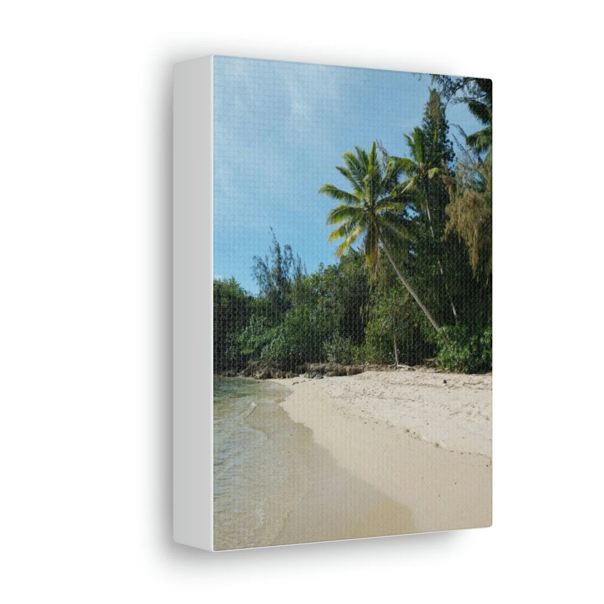 6448b28bb85c046dc718d4626c3f5358