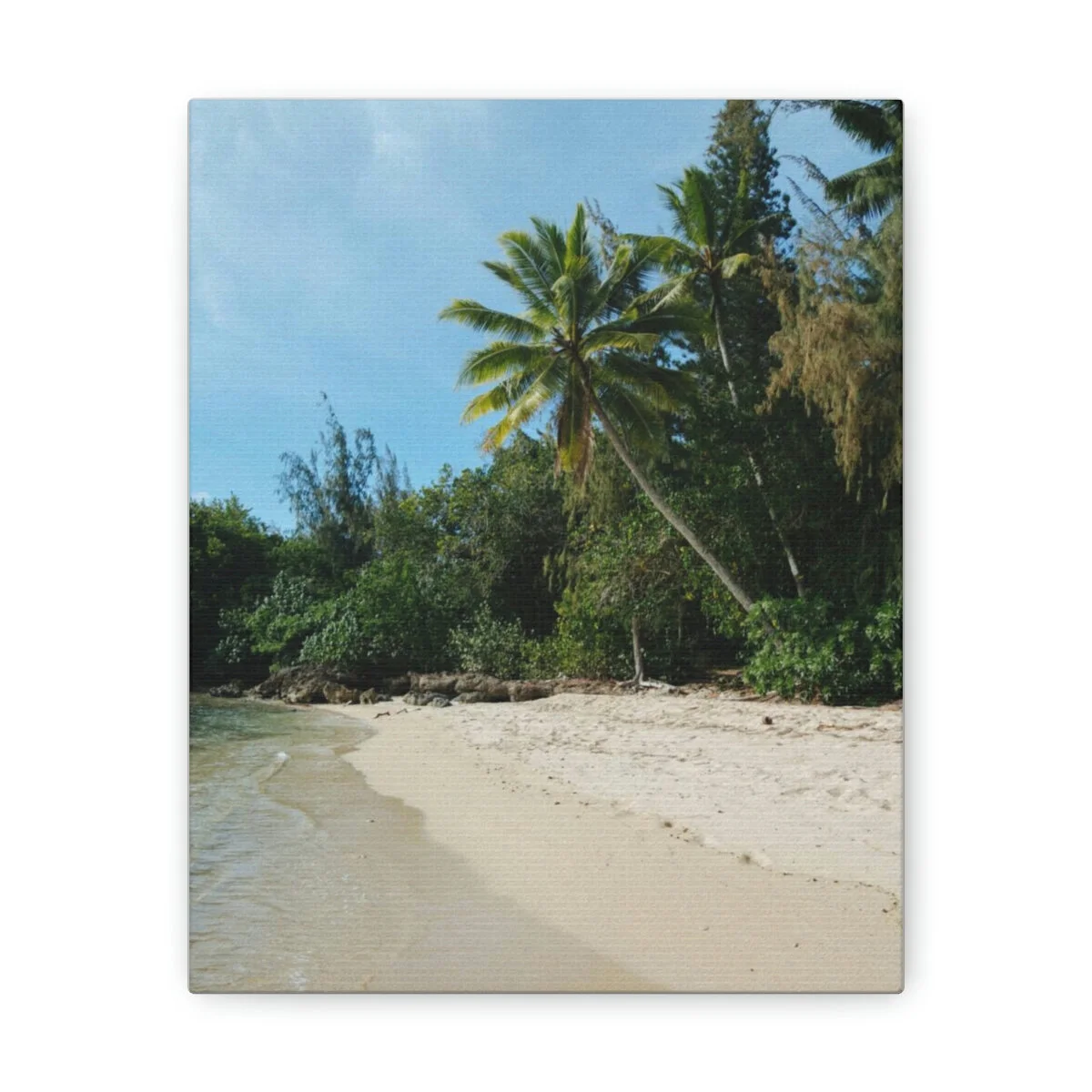 291857b9e1baeee1d320637c5a8da1e1