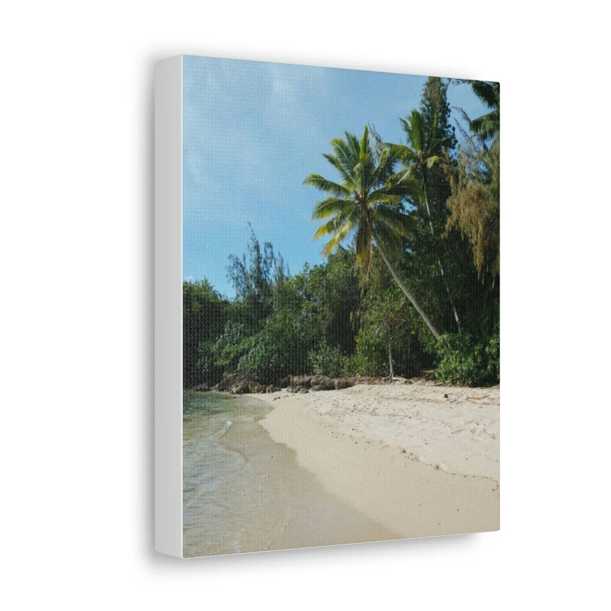 368221bec90913b7ea477cd255598c8b