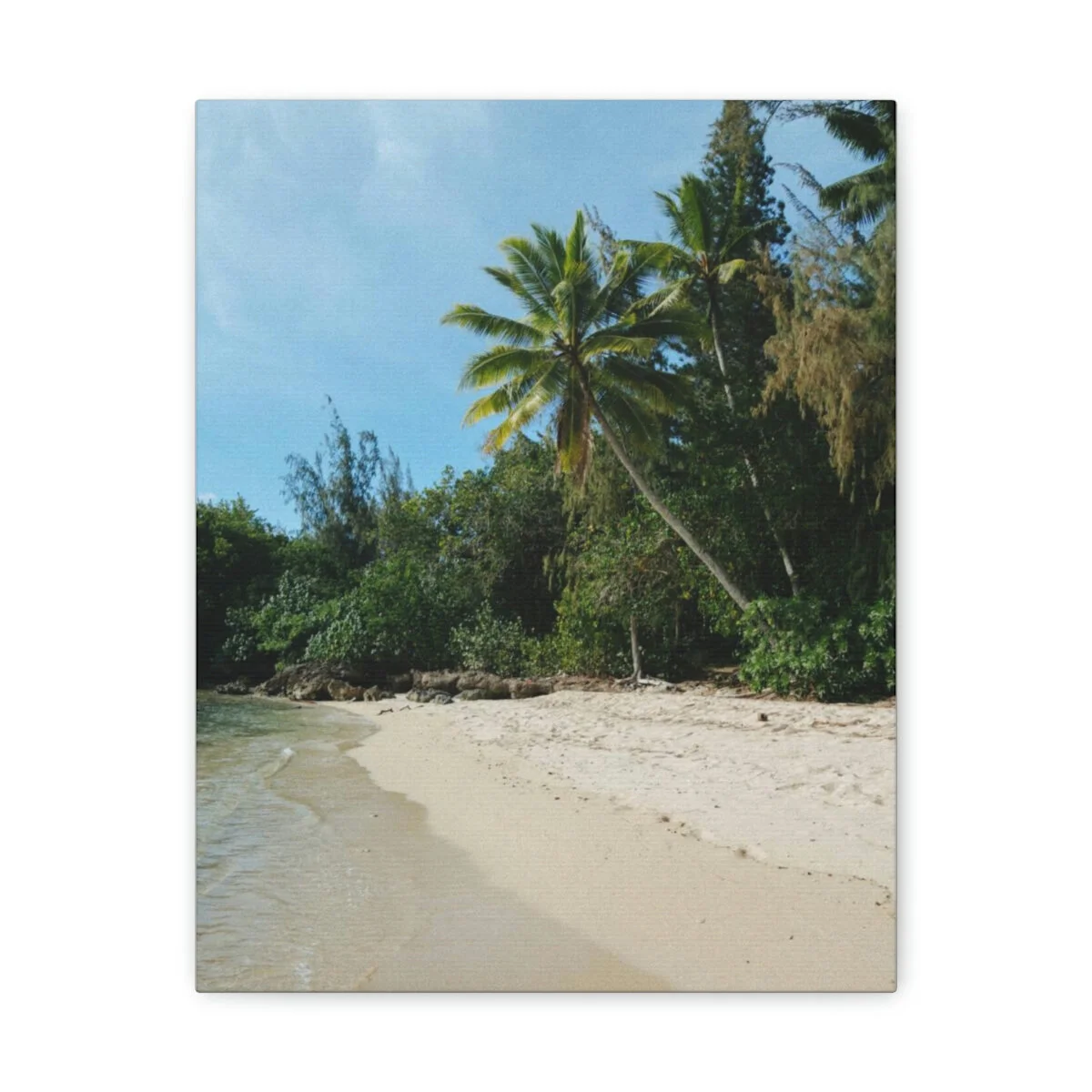 741ebc8f25e016c39ad18a937eca0b74