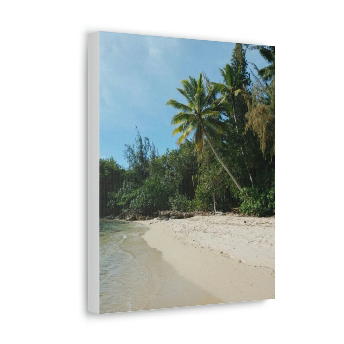 faa8ab79477b17e2b8d1ab793a56bf6b