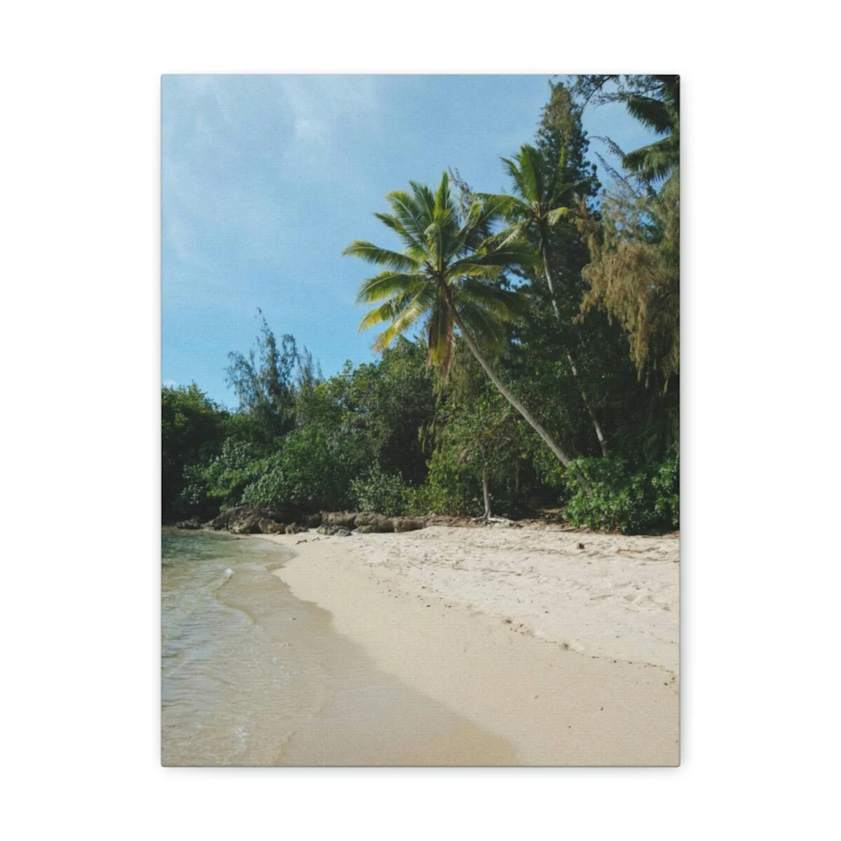 a769038e1e49de2cad378f20dfd9fb49