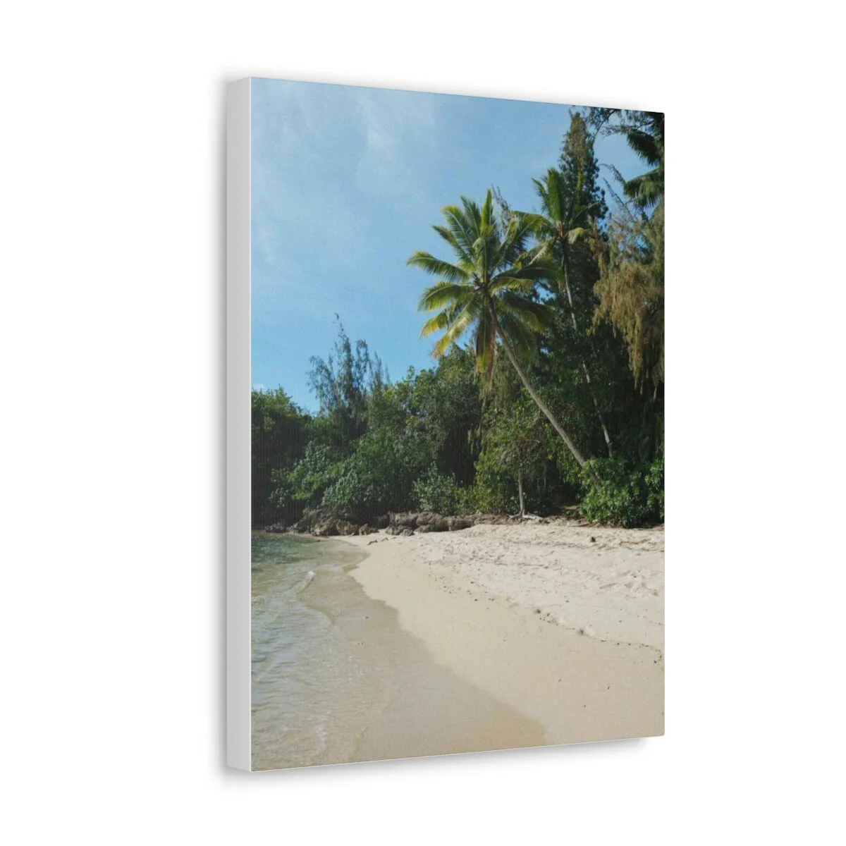 8984f31c8776542c96c8c885e38e6695