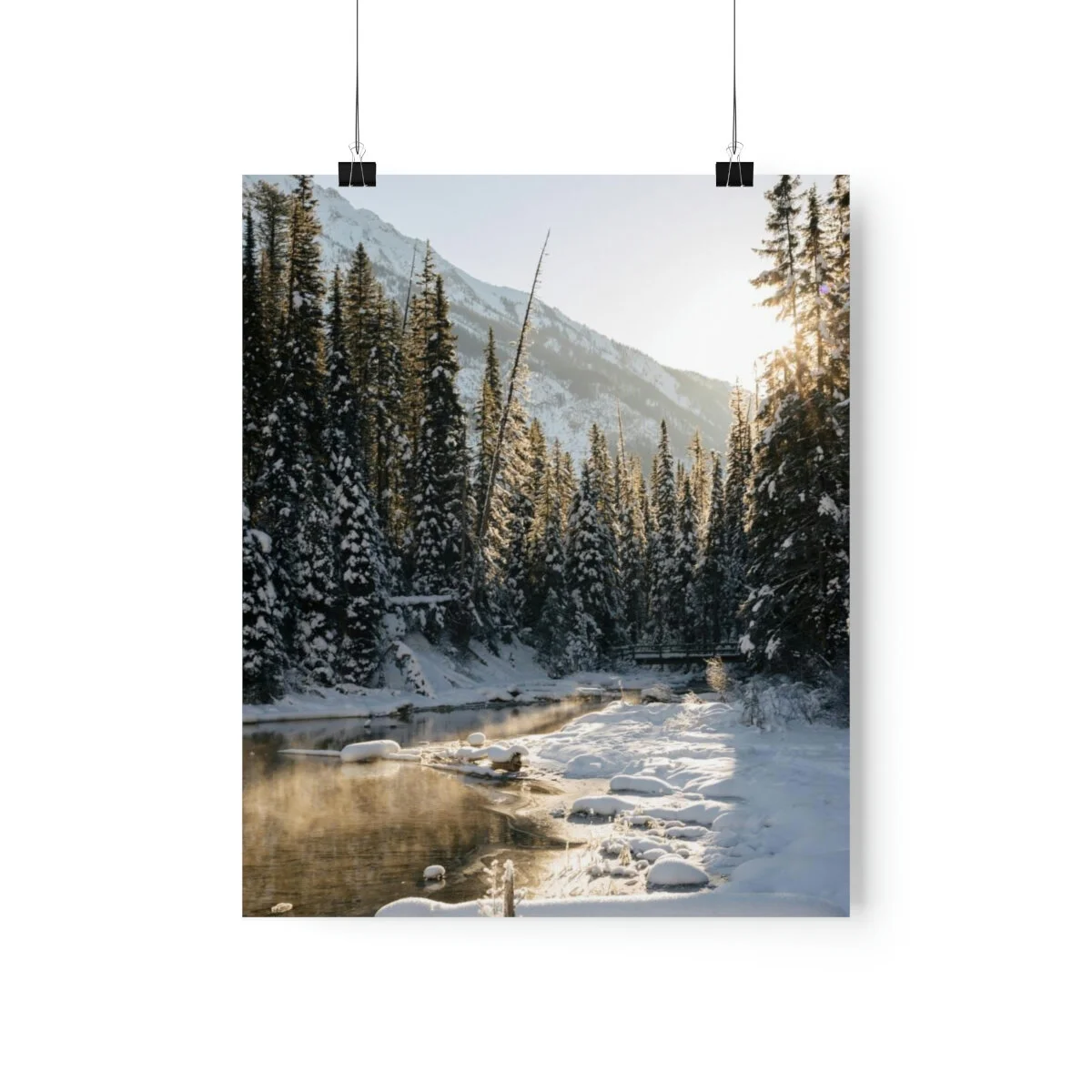 773505ec6621a5b3777c08e160e02577