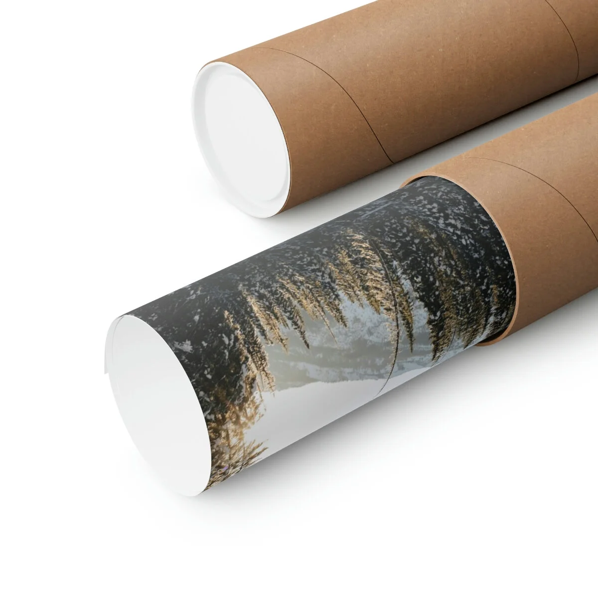 25bcb447b74254805f28085ee5e41094