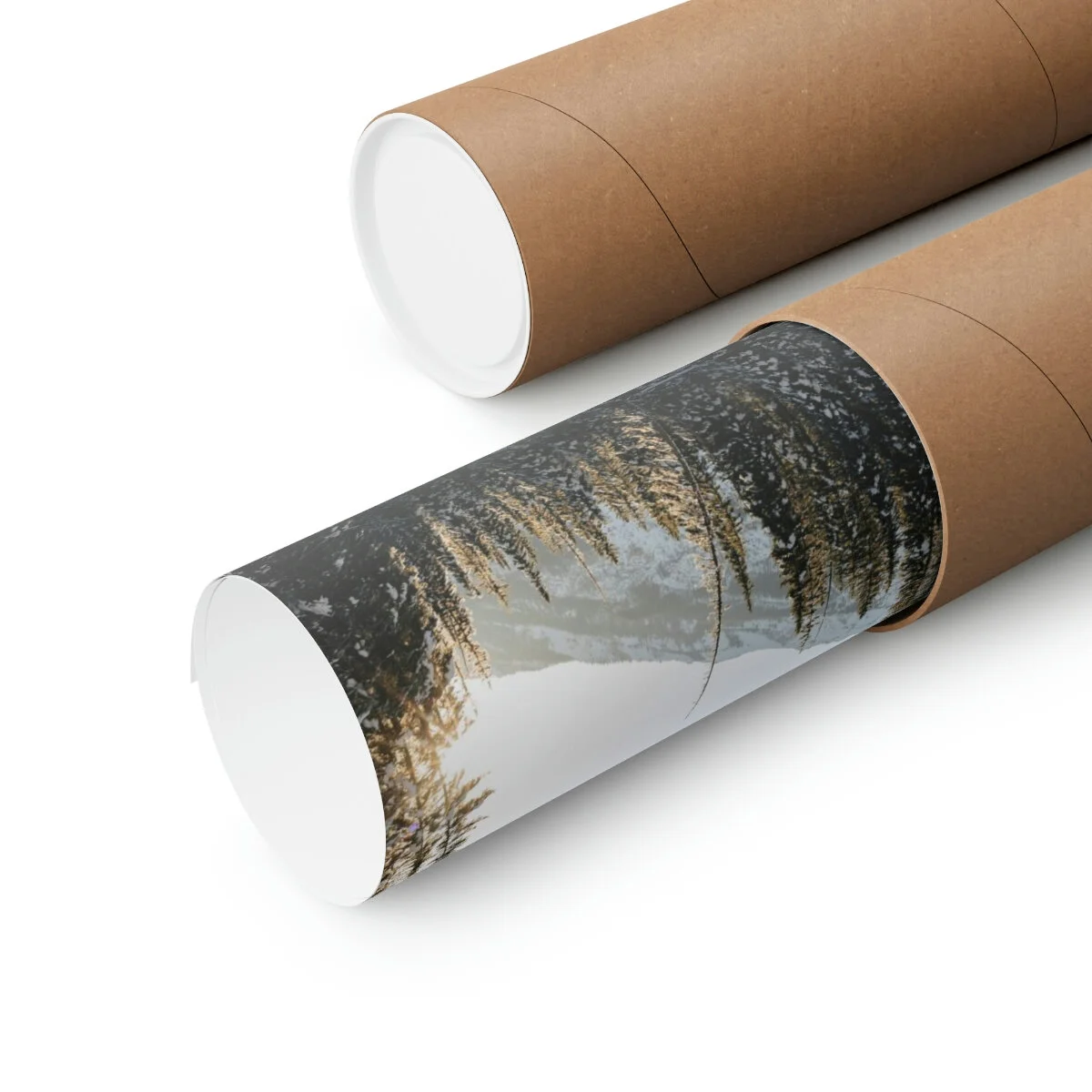 da5568a8d968de9d9fbb1a70e83ad959