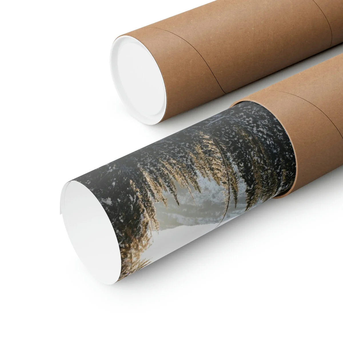 464ab8aff96bb6af6b4f6f4f53517082