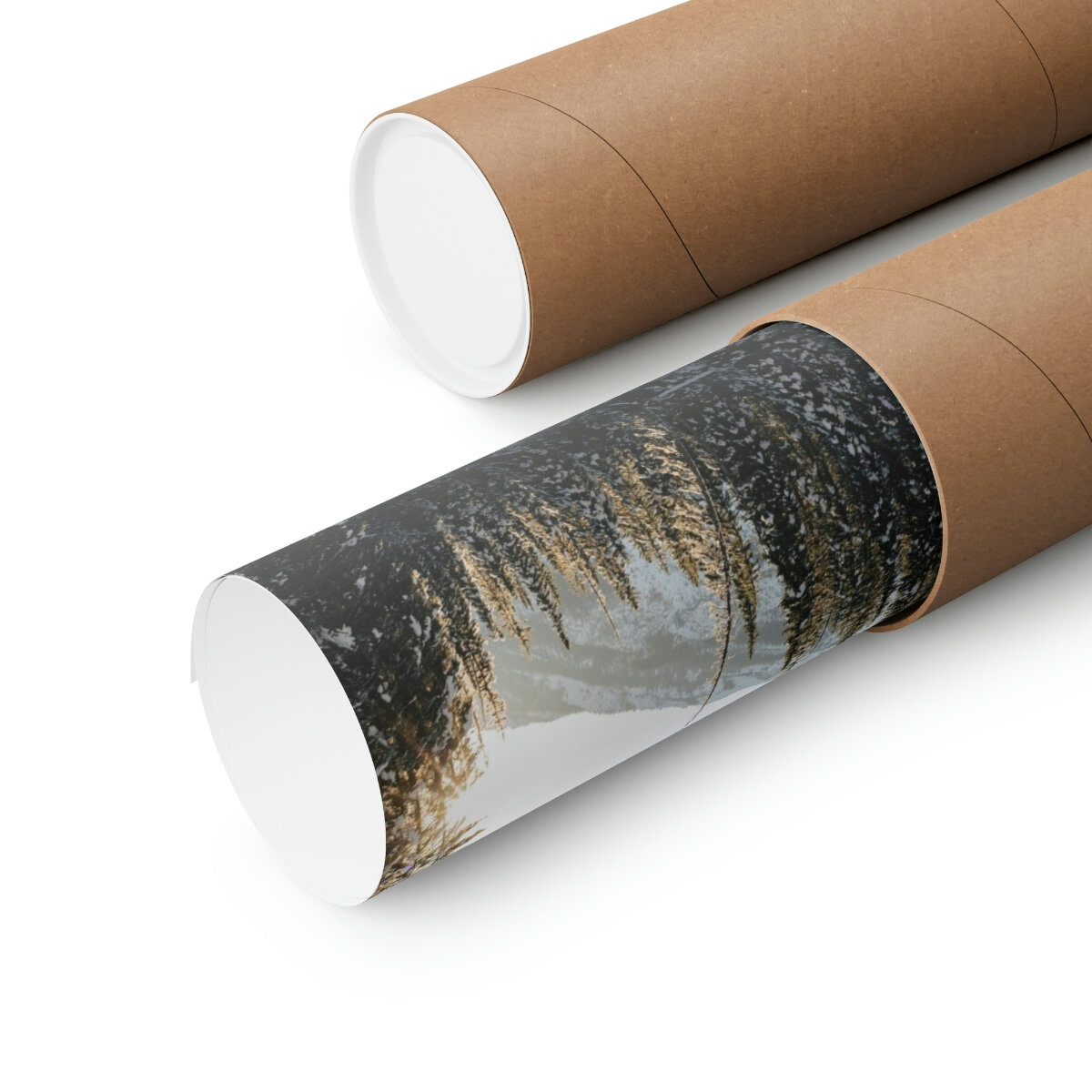 cc49aab20ccf36b271737cd9ffbfa9be