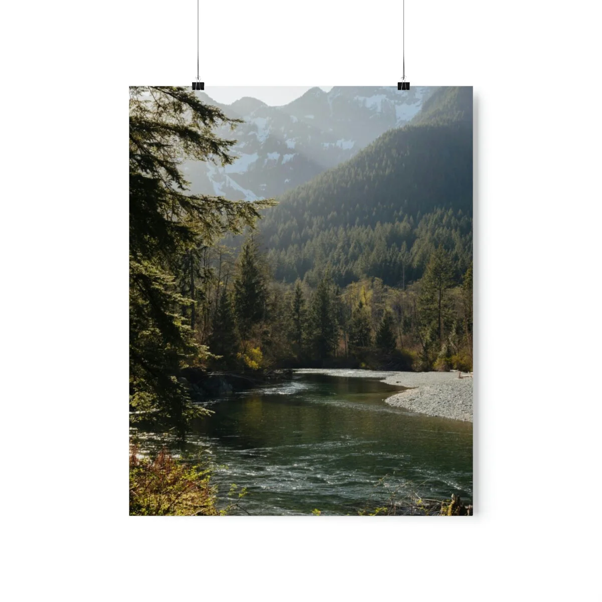 2bab4c0c5c53566c216dbb57f85646a7