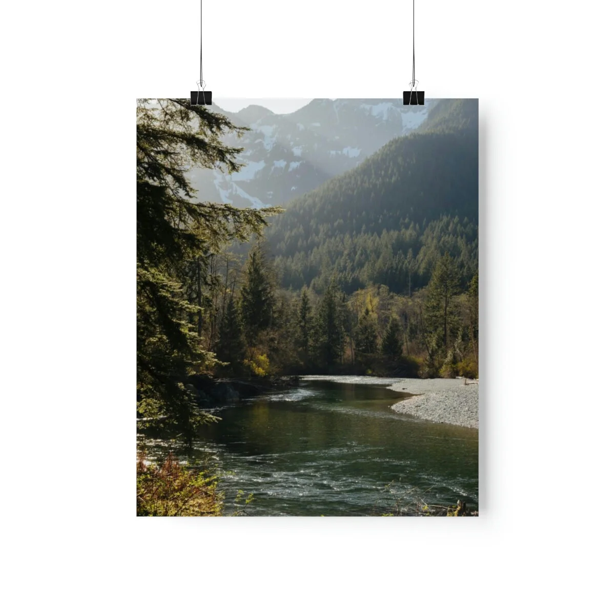 9bf71a116ed319f32c81d513588ca65f