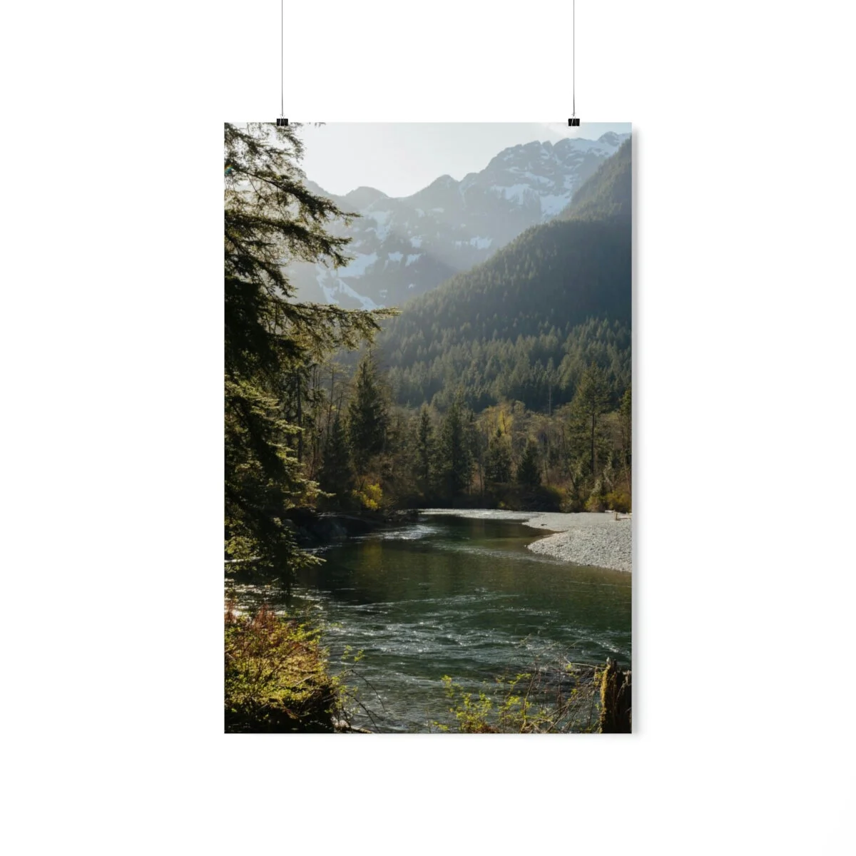 4c0c204f919fa96a0146106277d4f12d