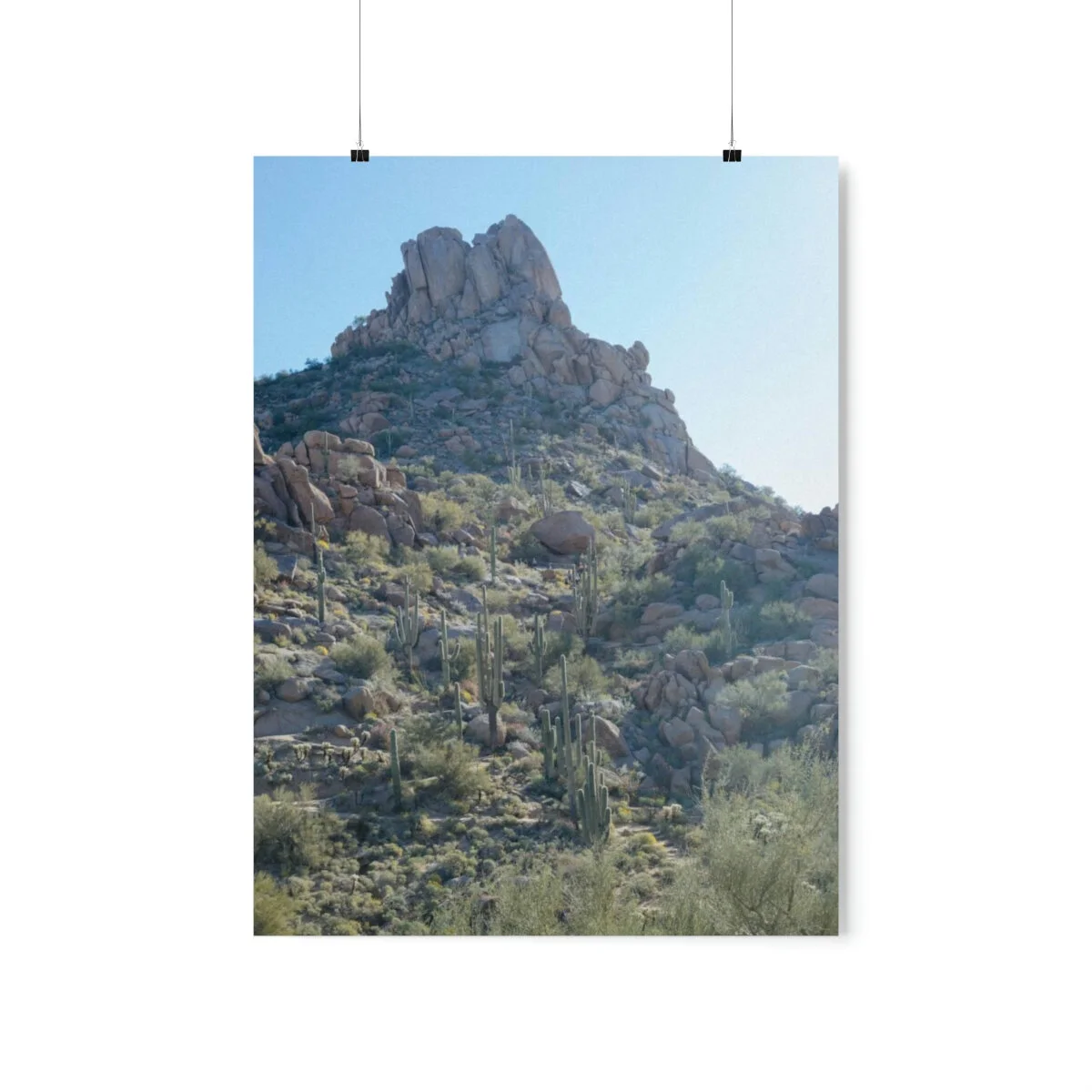 21a8c4959e88d0101122c784aecda837