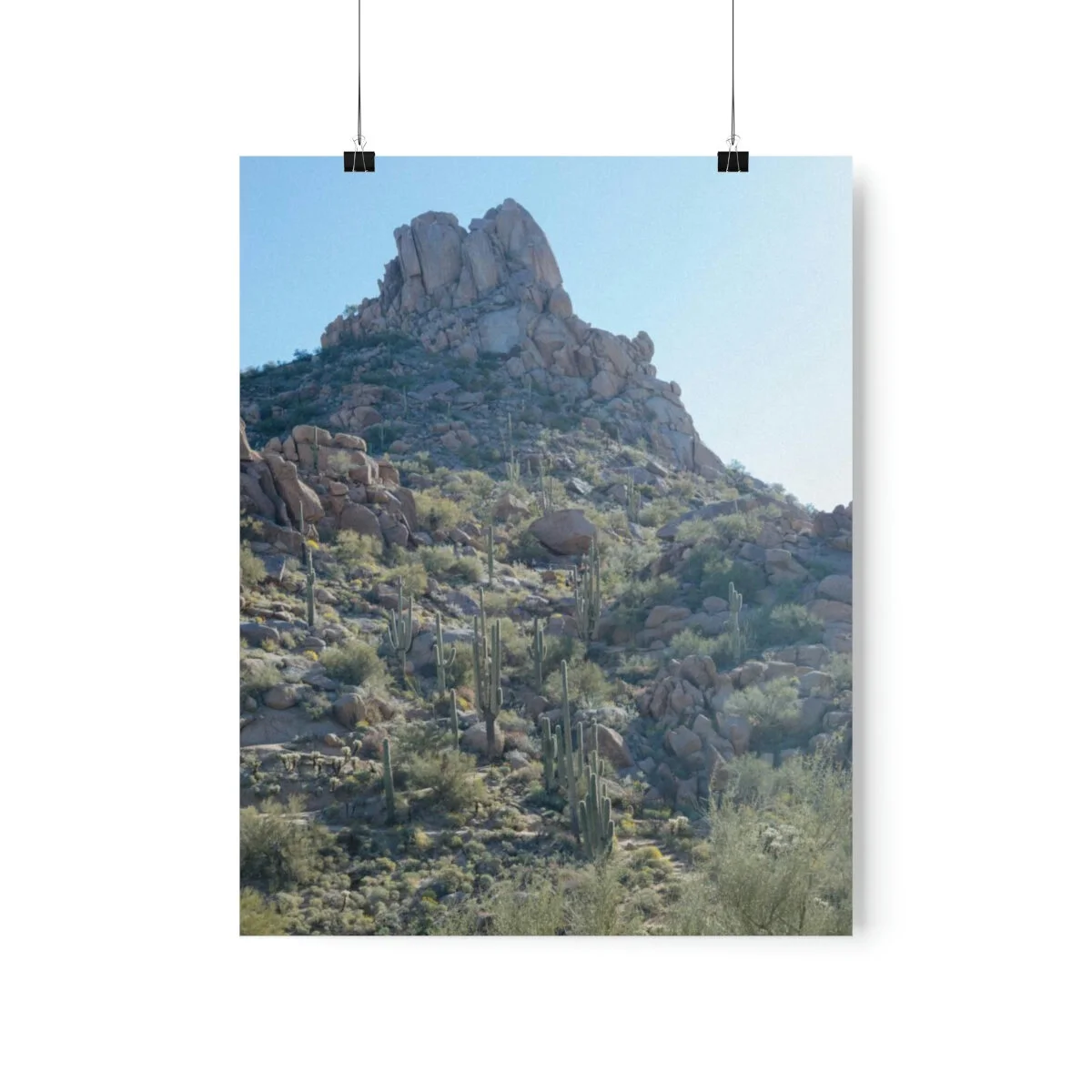 f3cd43f3b9194e0faa1432461b202d01