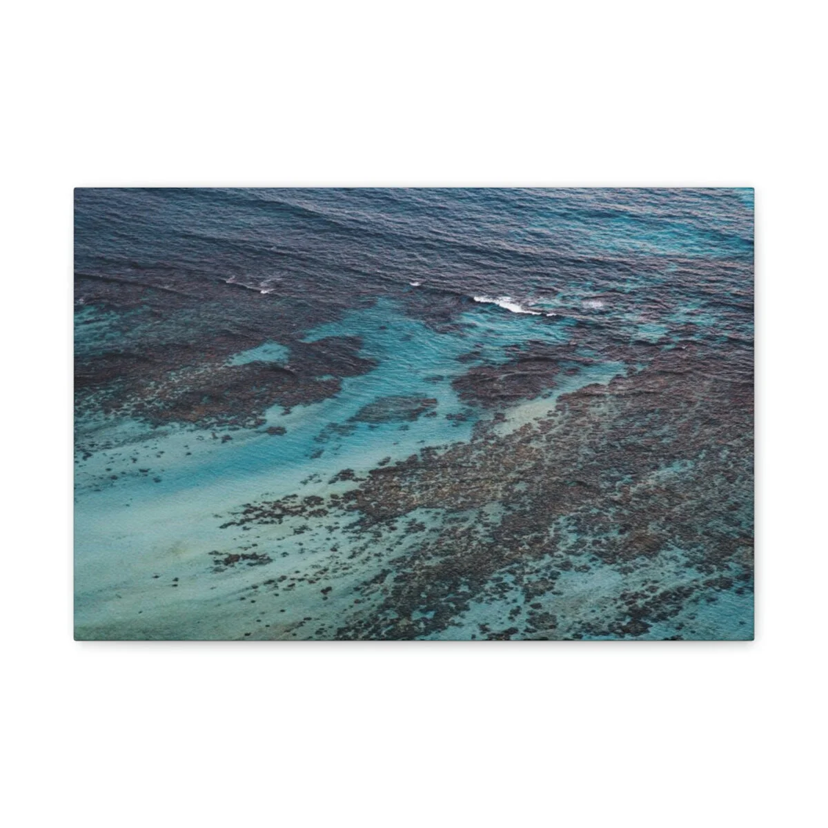 02fa90d71d36936fae0ab5a4d6d5be14