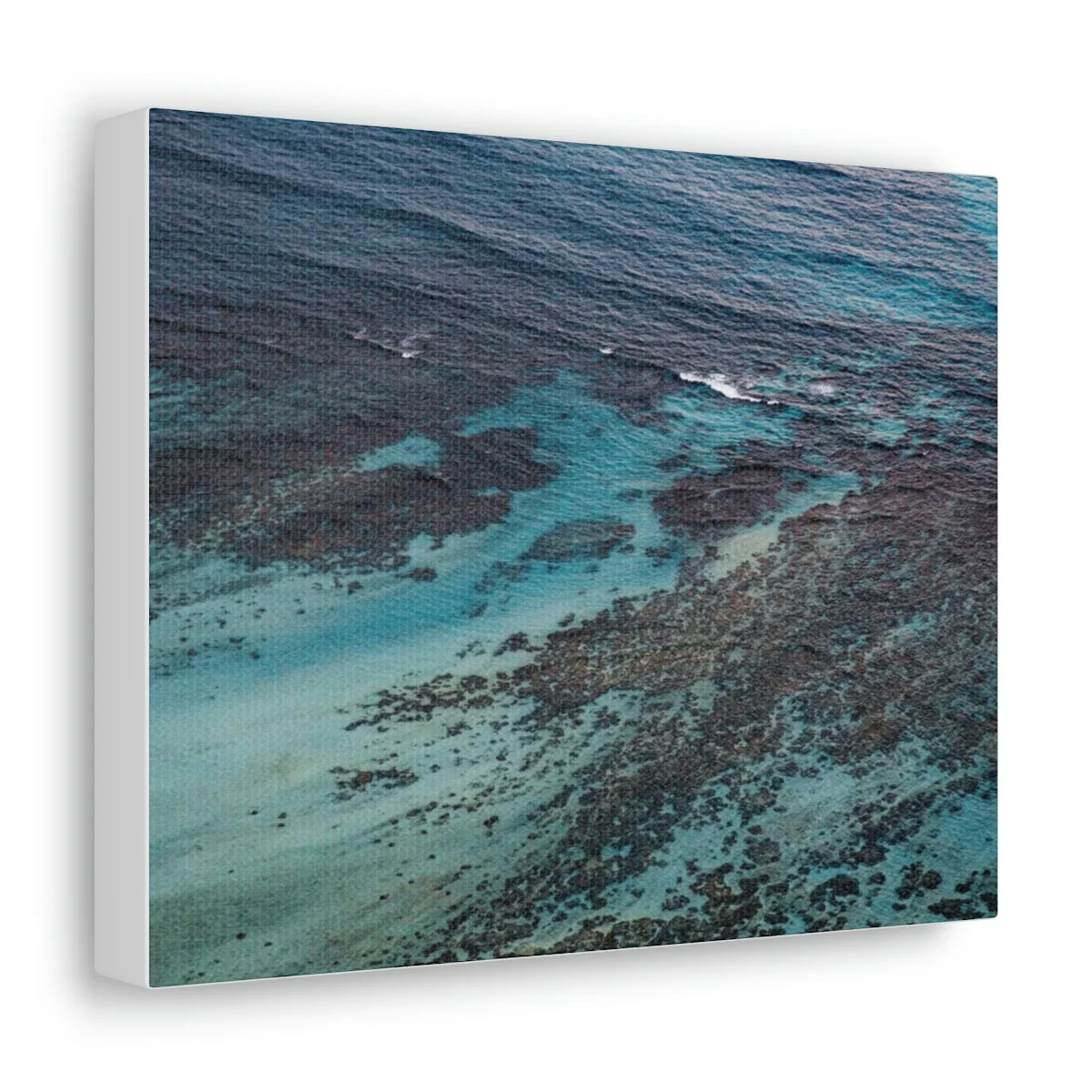 8862f1aeee7a9580ec3a08e9440c1a8d