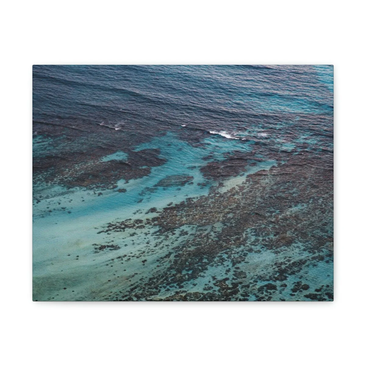 39059a14ab6b78989629af18adf2aa6b