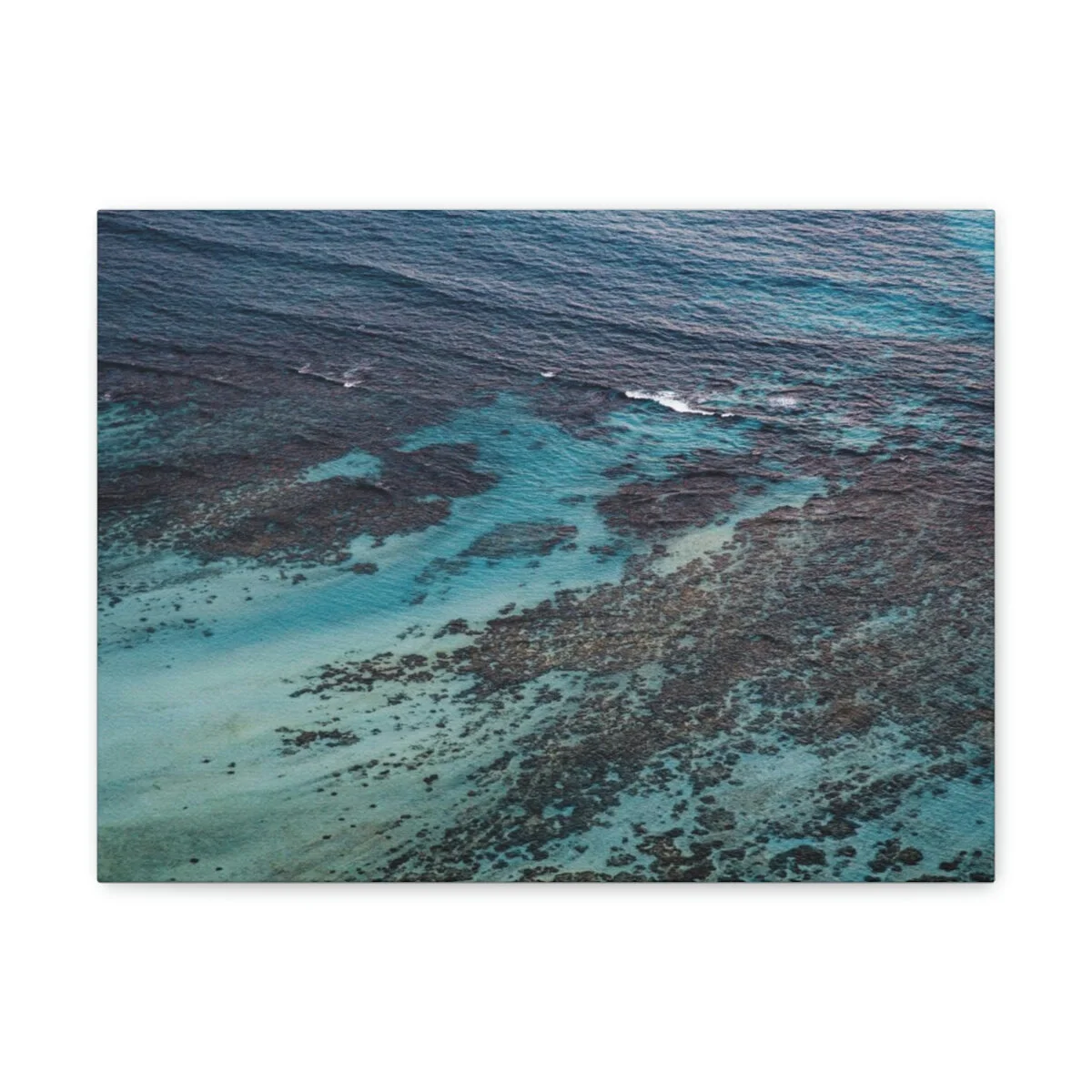 17c8dcd6ca182ed56326452cd4e6f68f