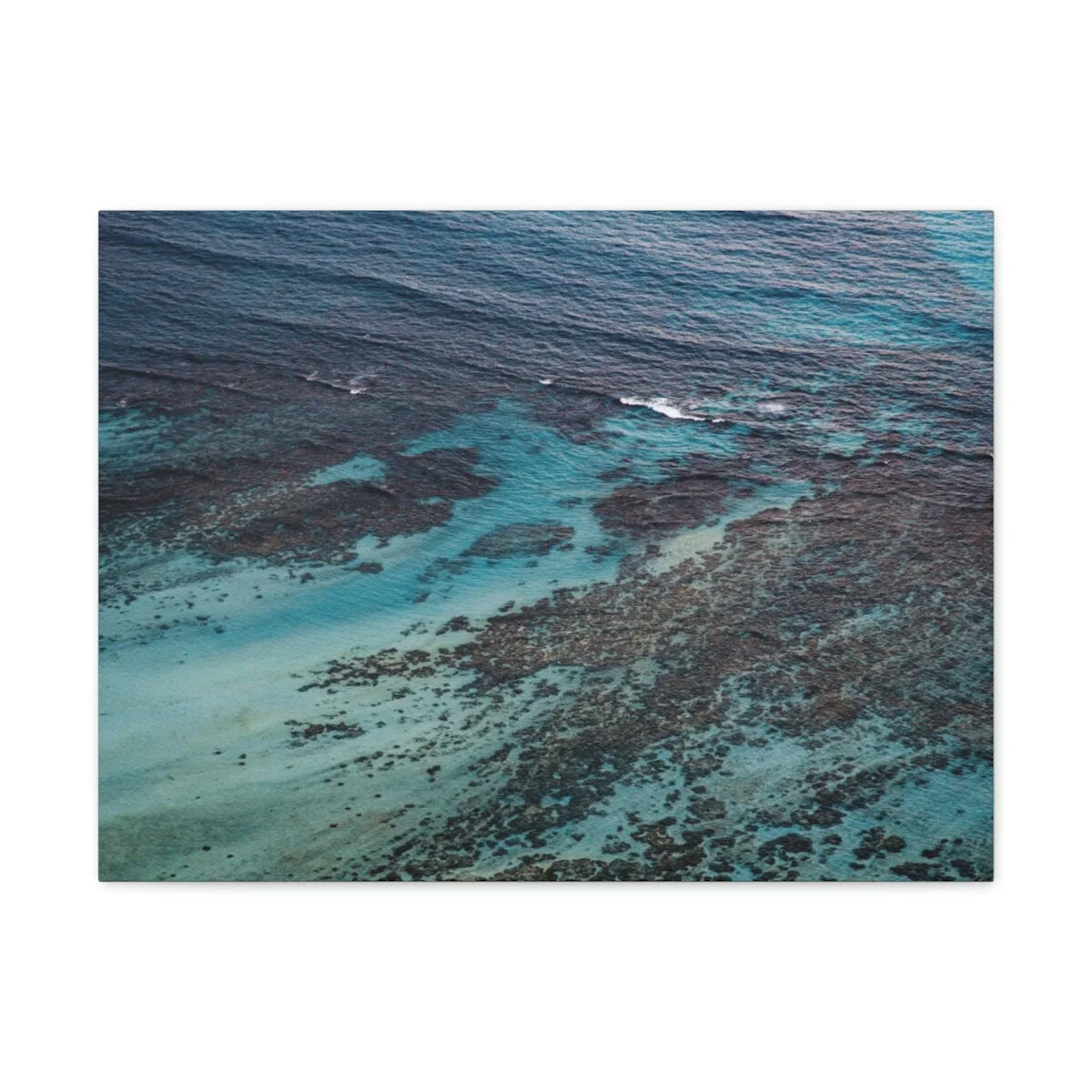 8b6a04024bf0adb9544ec7525b4b56cd