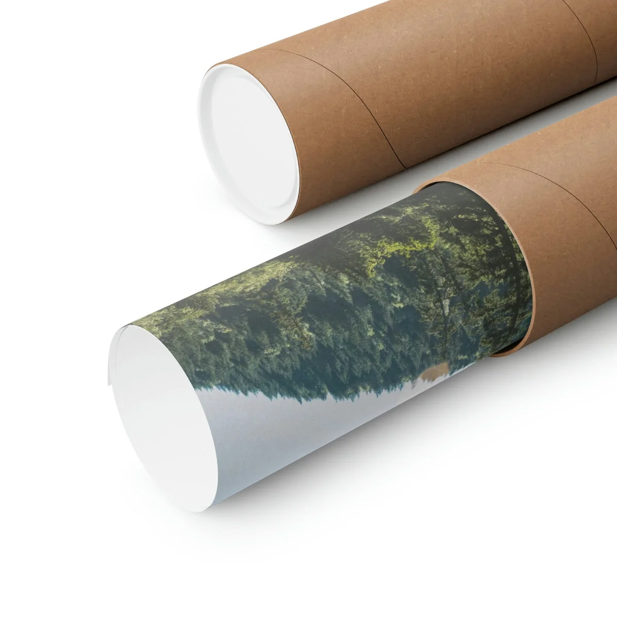 b38b8aba41cc81519528c1ae726494f4