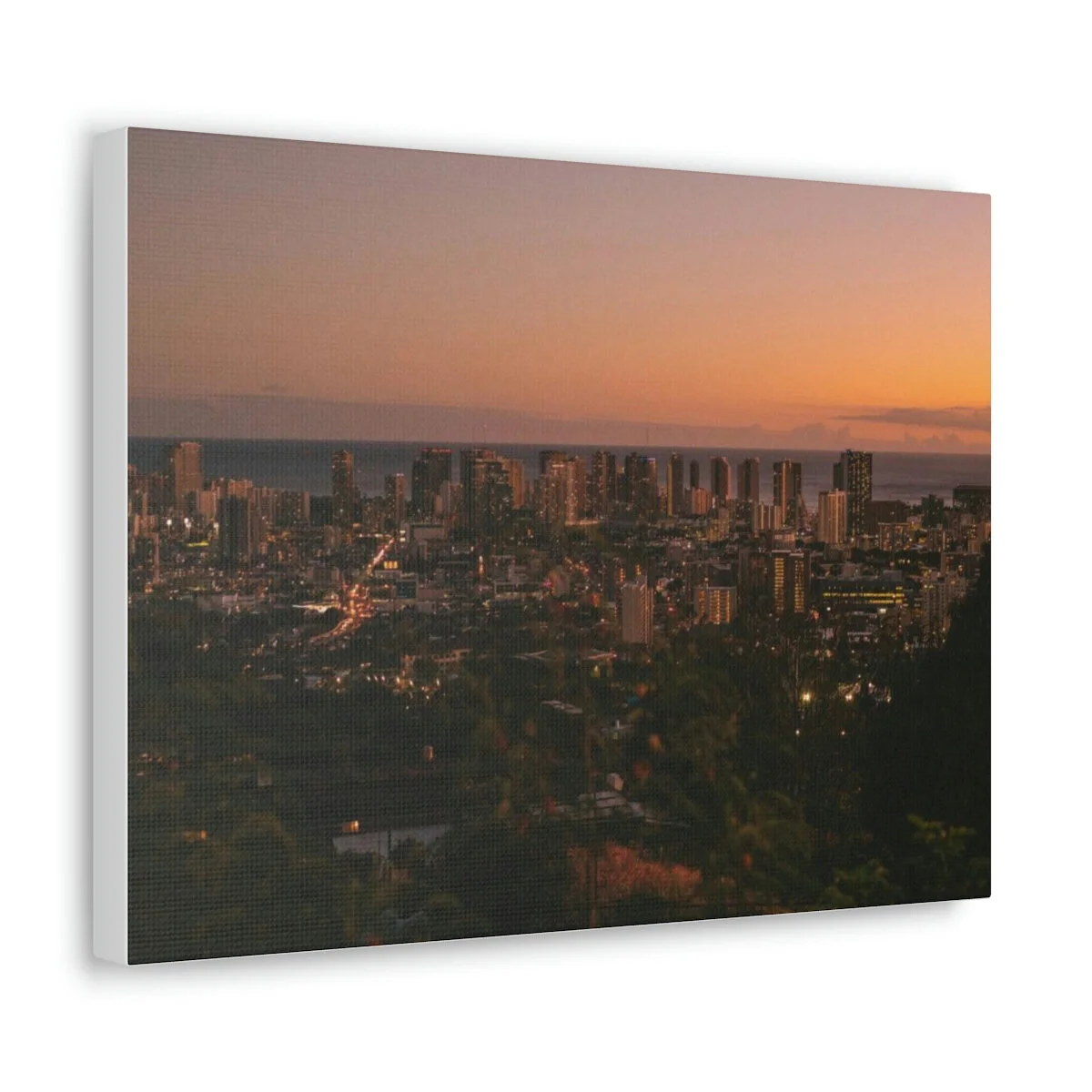 7ad16206435c54e97a33ba7df259c555