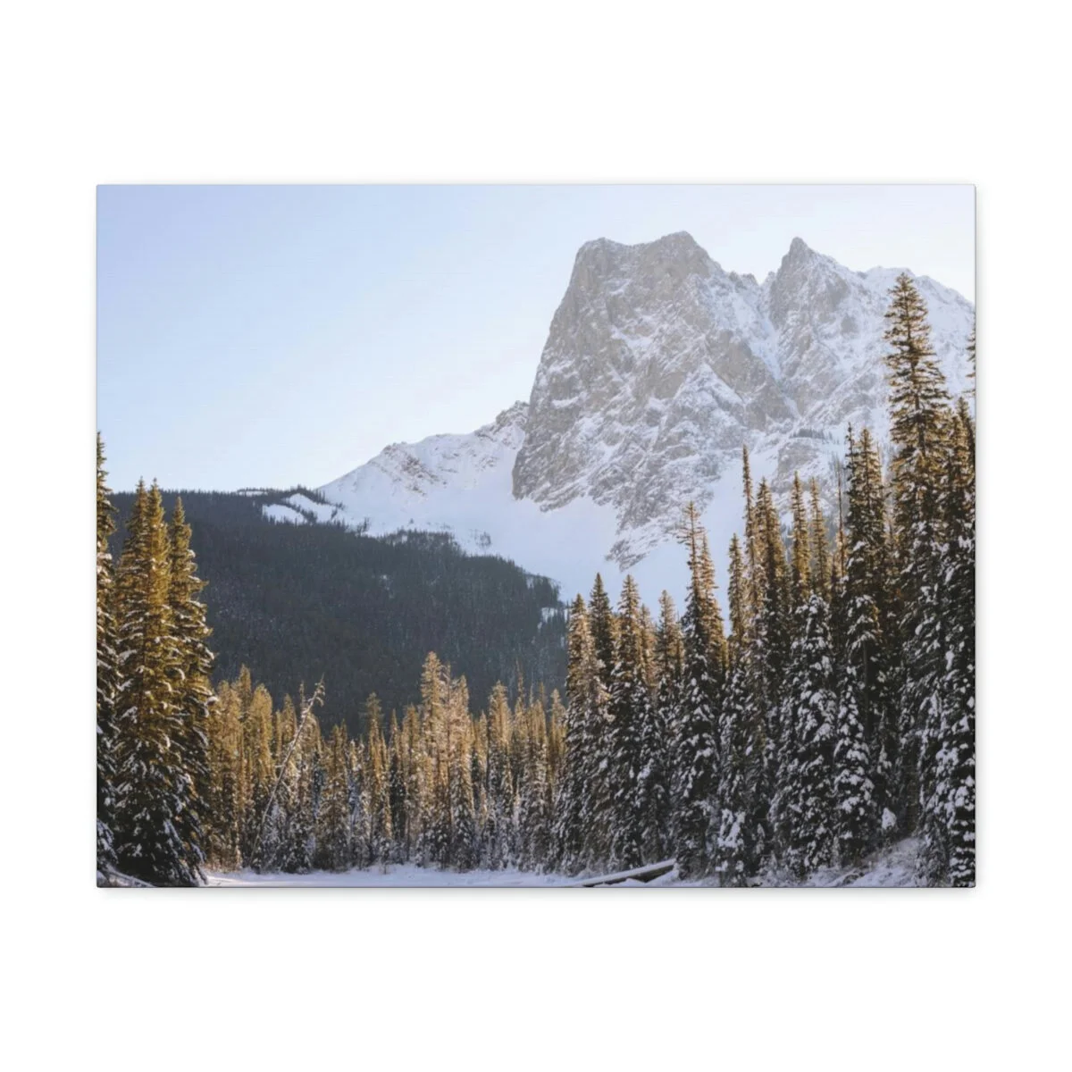 50d51c07918916e60f34c0c95457bffe