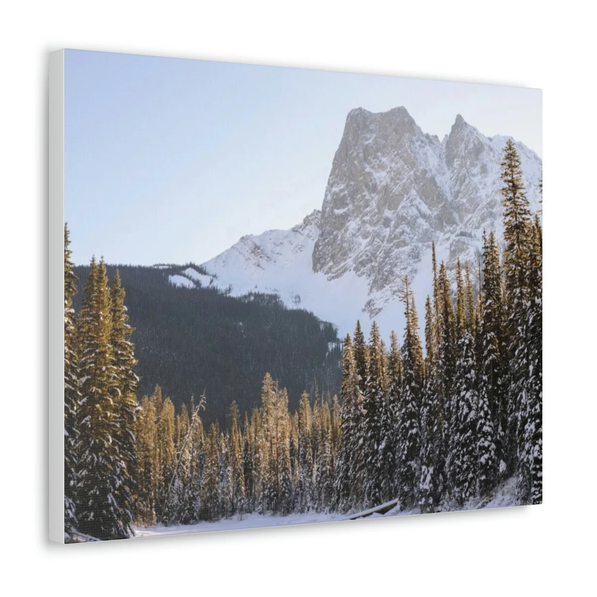 5bdad3876acdf18b1bbcbe6b13fdab74