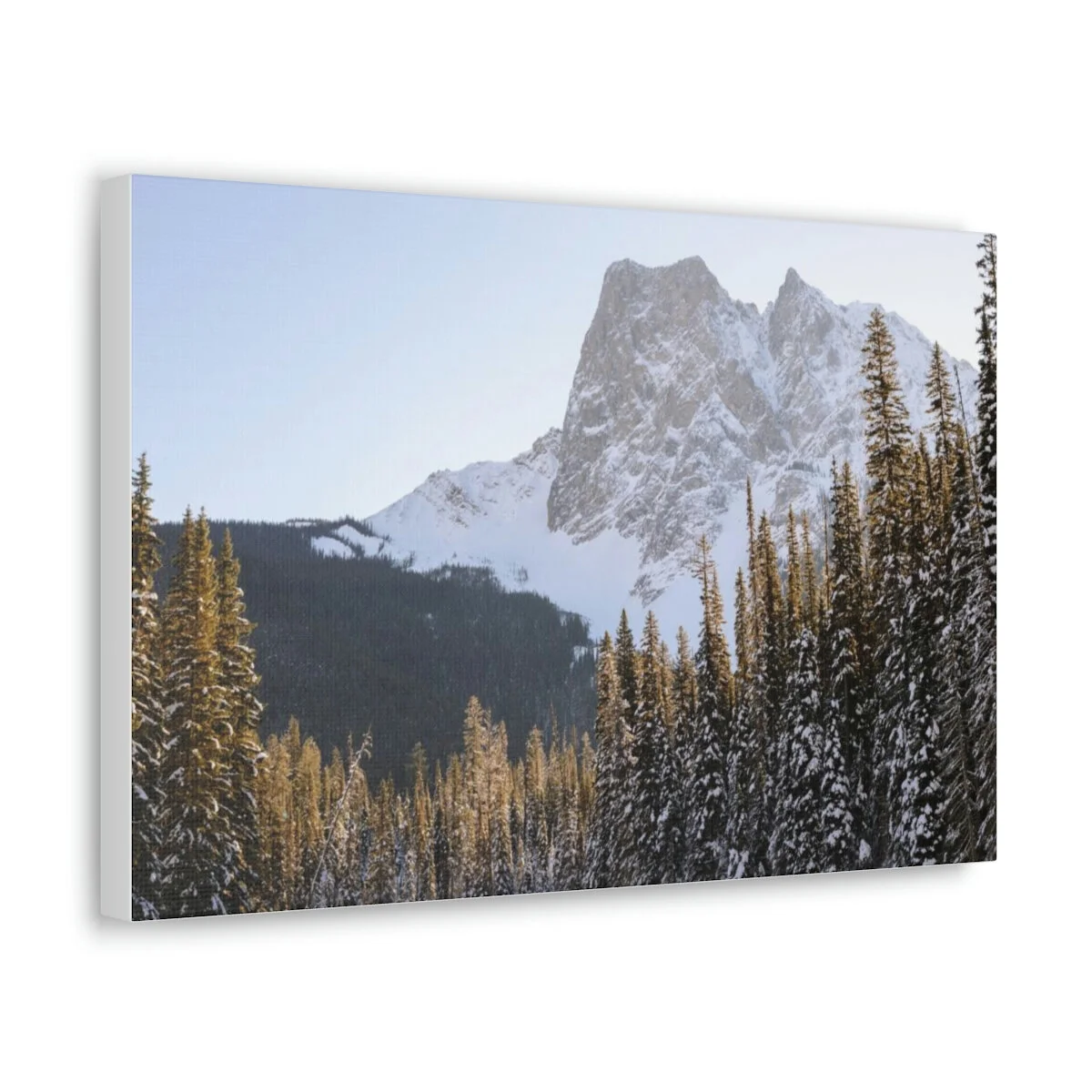 1a3c26c9ccb45d2f48585e5b617686e9