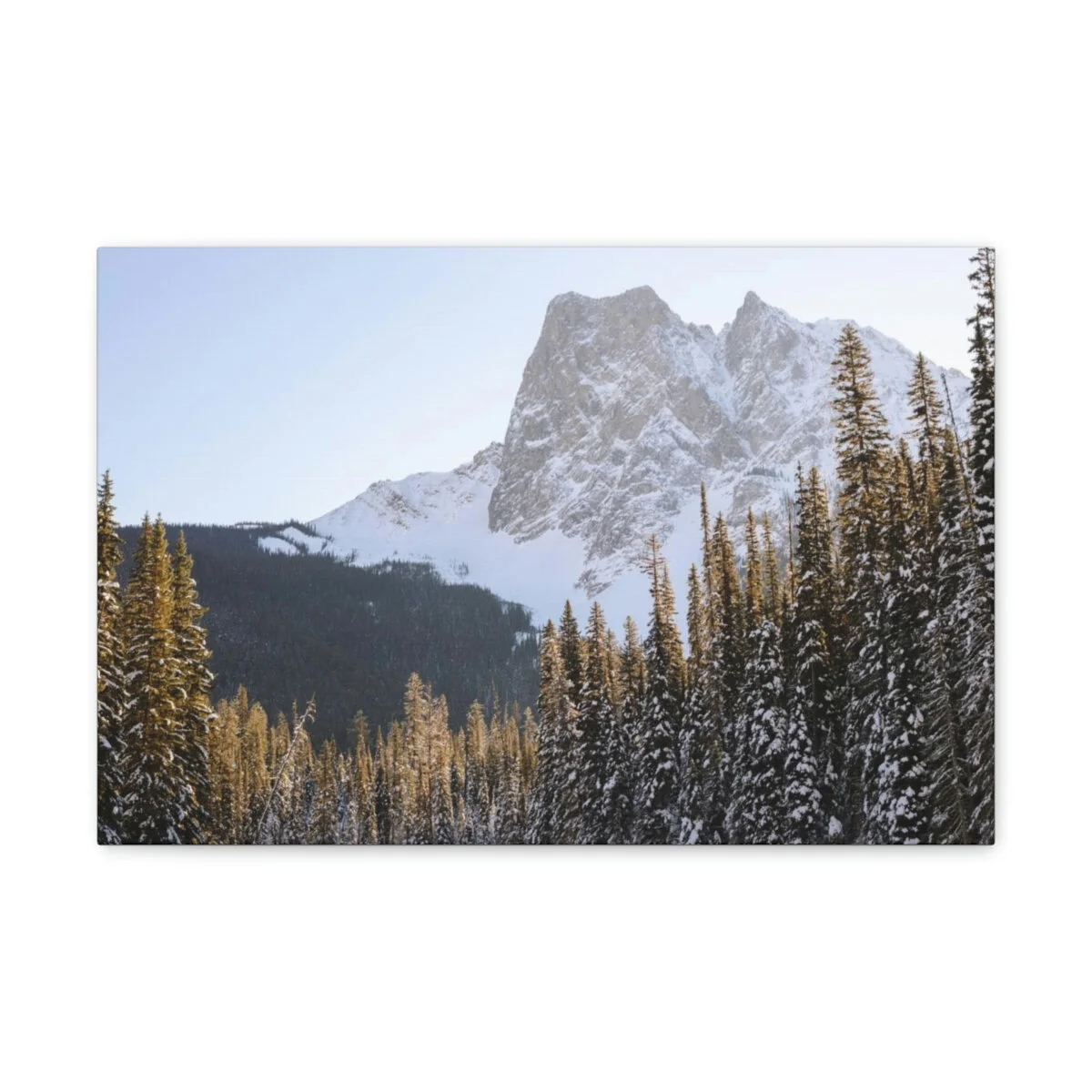 5fbb4f7a71ca213032886109d86c1540