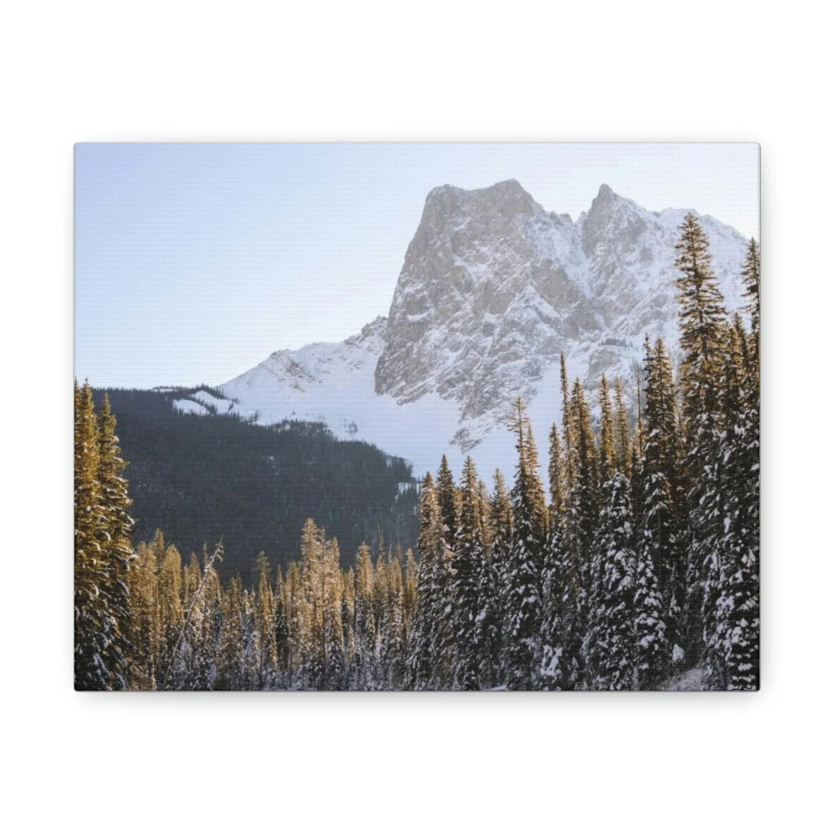 982ecf1e9b80f2d2c5d765e5fa04353c