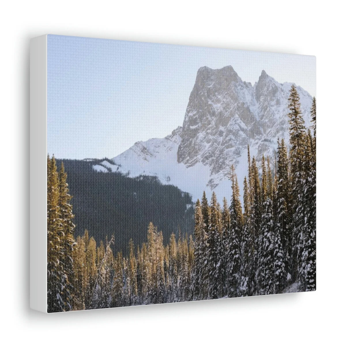 cc969275902f5a149634ed4f7291d870