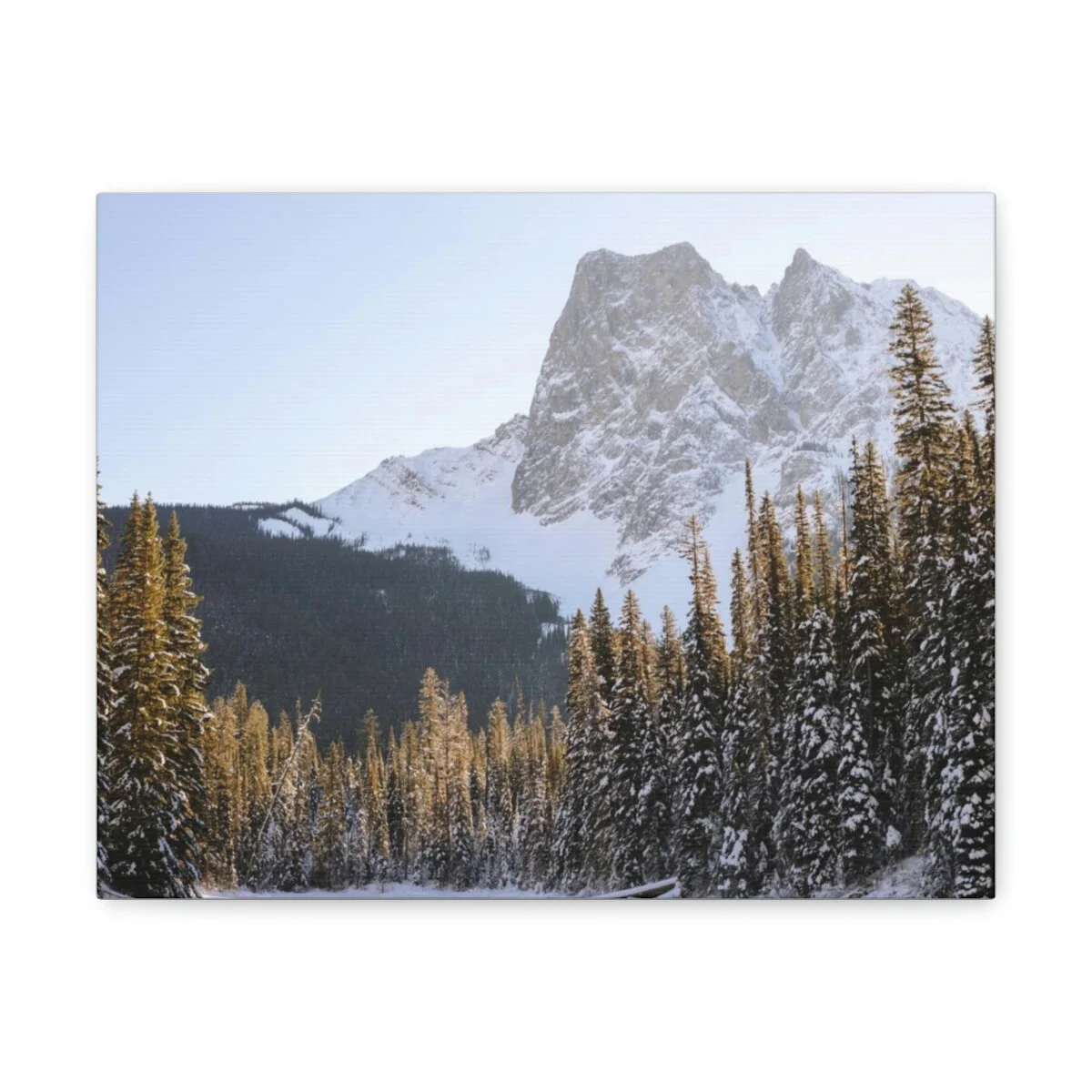 e46fa113cd6d257d4950c8ac07f67295