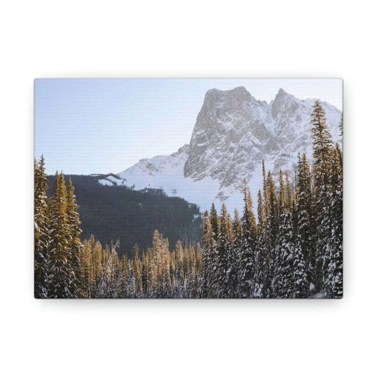 cc7fc8a2f70a620c92c8fbed976eac3a