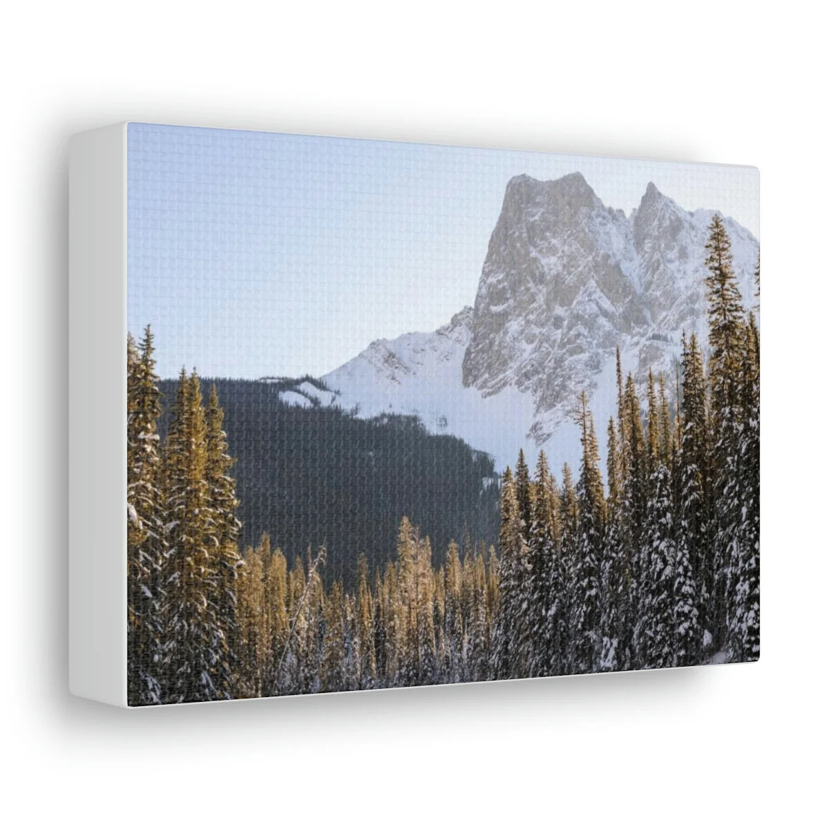 7a497e04ab7cf85bd3ec9bbf564528e5