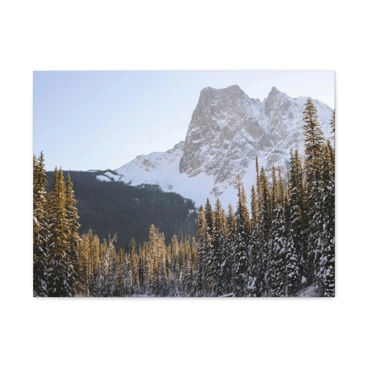 7f7e6ee545cd80be46aecdf55a1a5be9