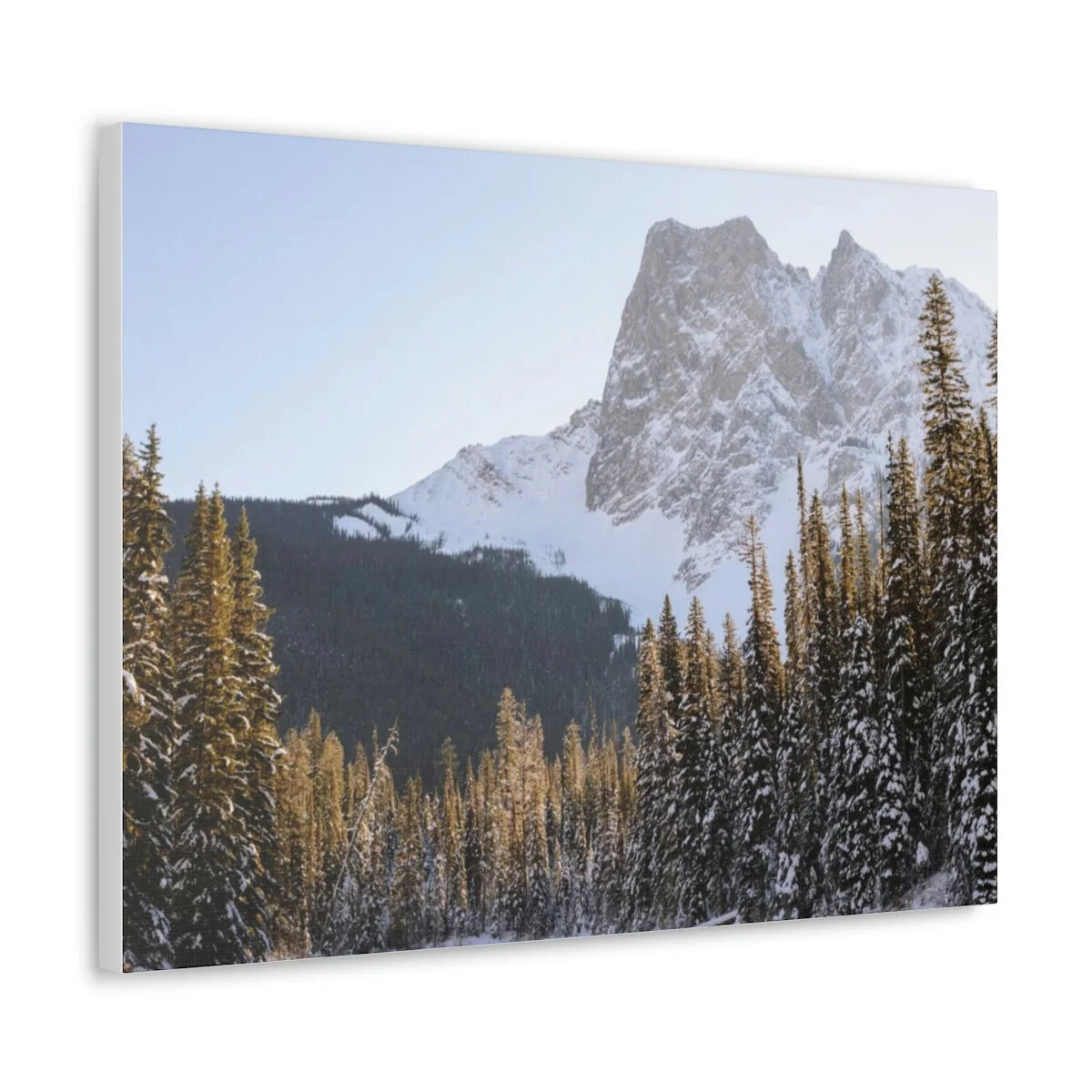 f8d28dac284c1026879dbbc8982a7d08