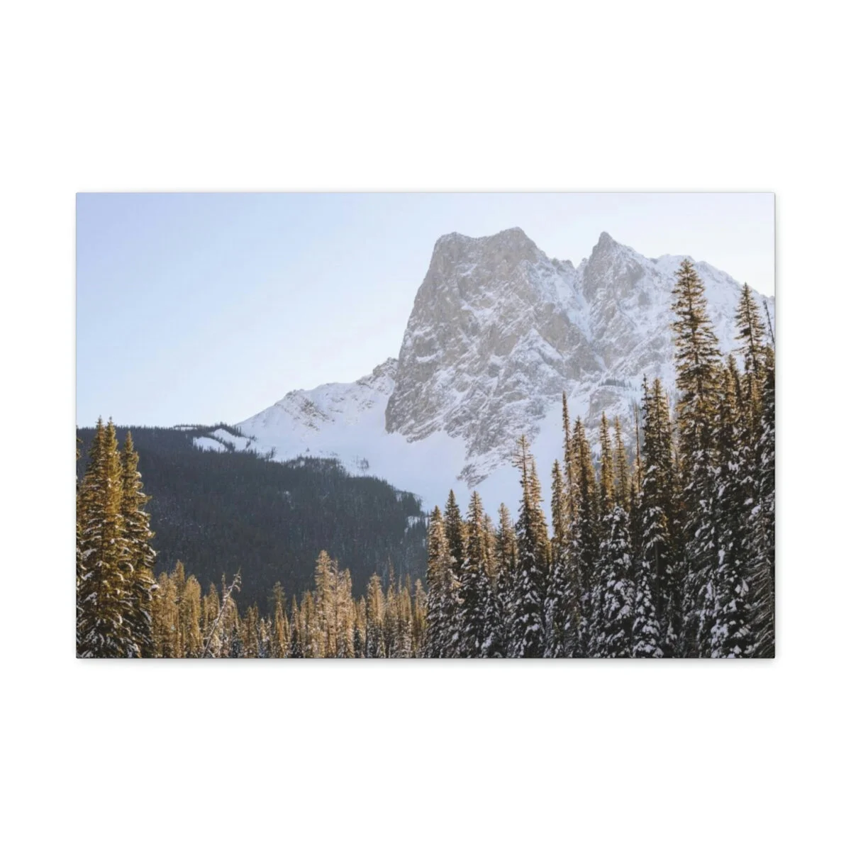 23e6015febed271823093f7a49d4539c