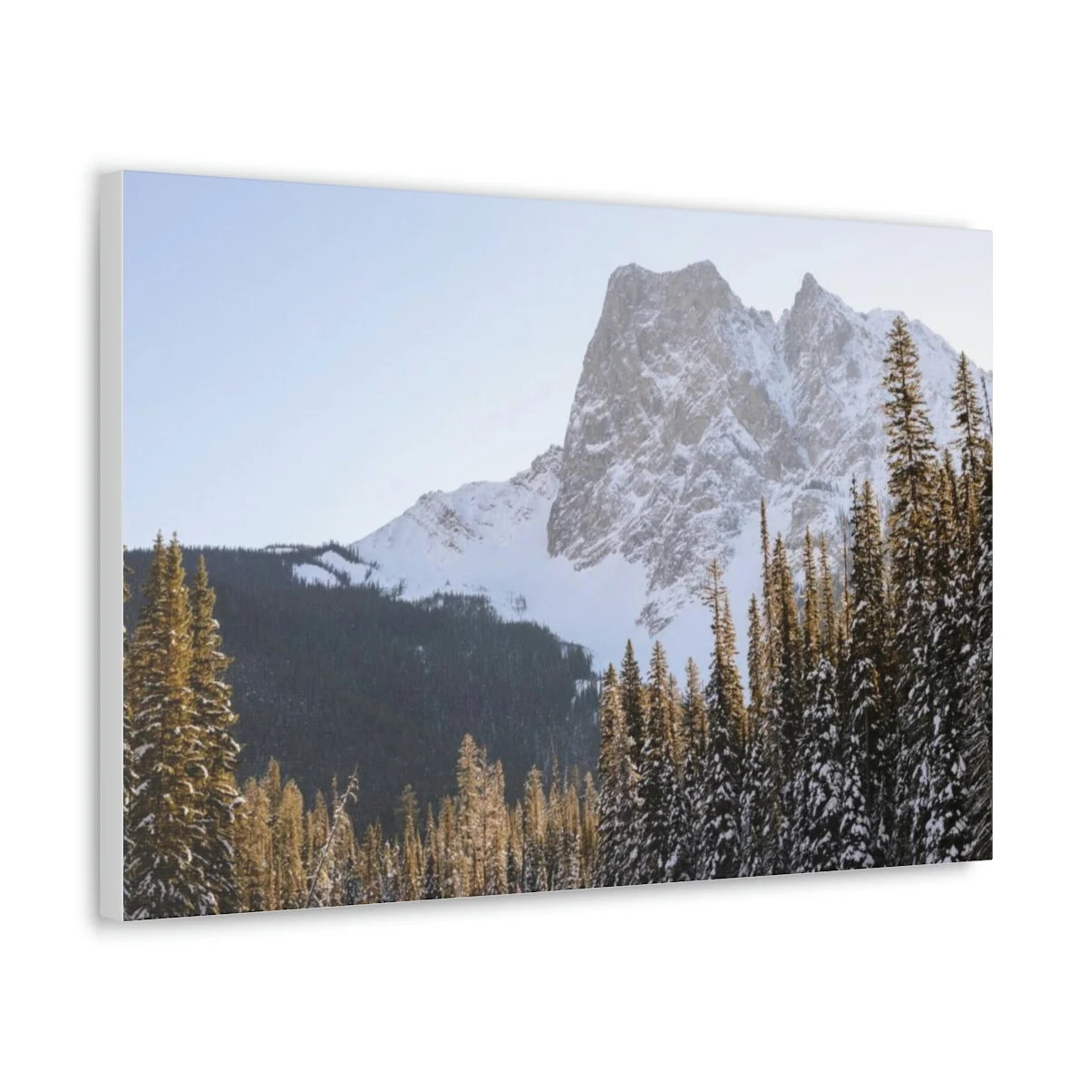 1550fcb44fe146236aa097b9f26cfa47