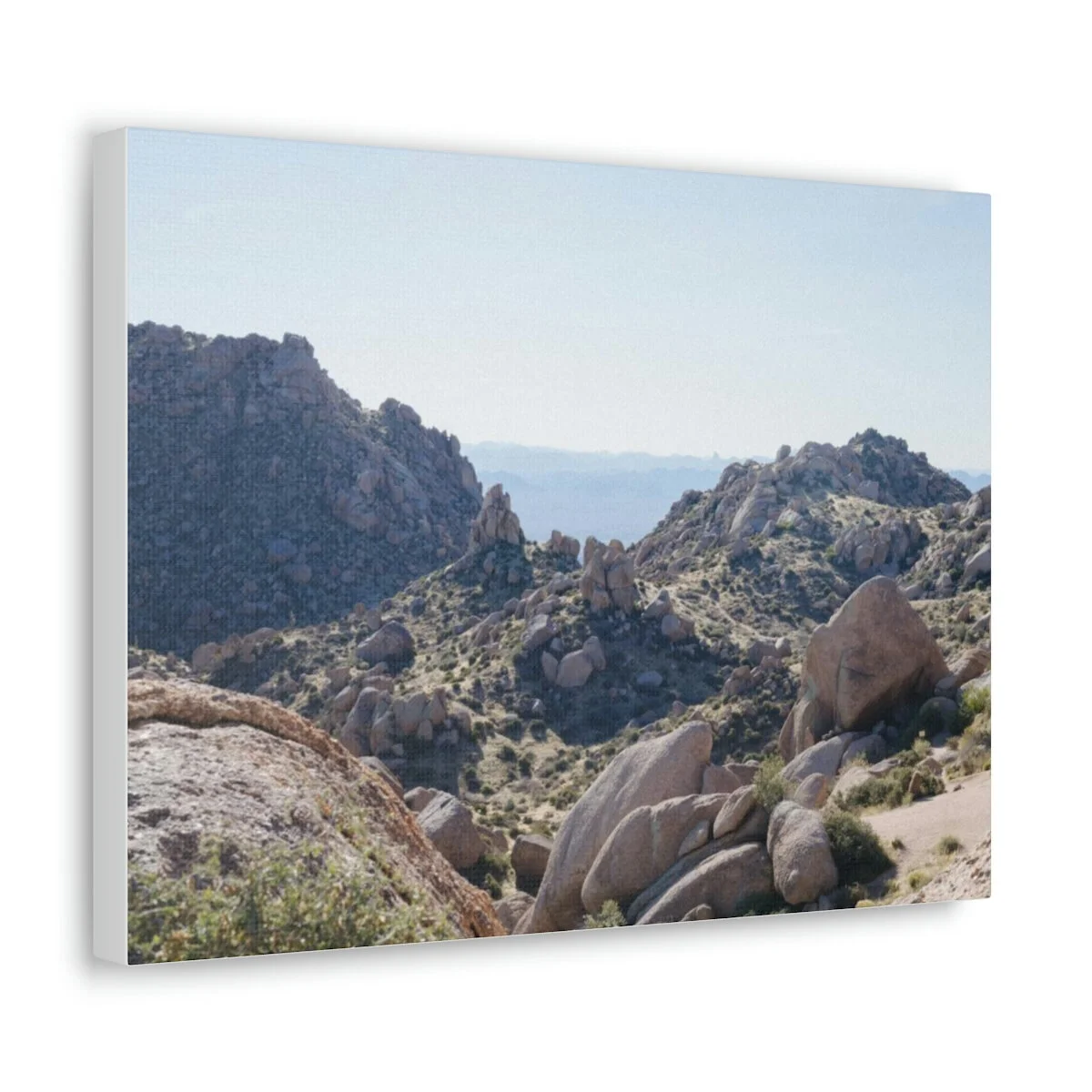 a18baeb637d3d8e20bf5c98ae537422a