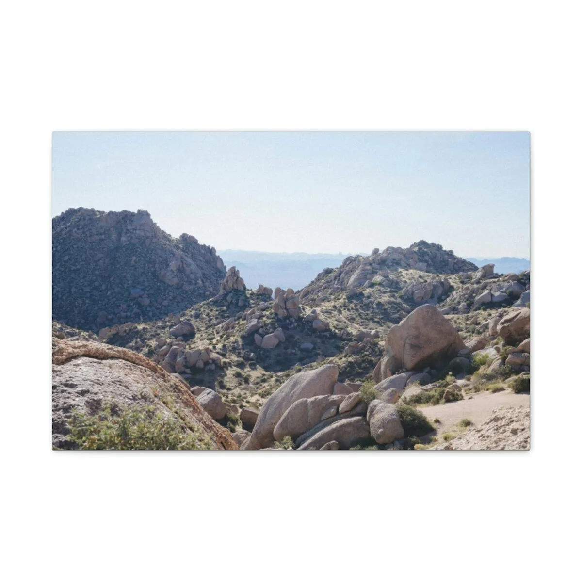 90a2fe796fe7cc5fb125532400069224