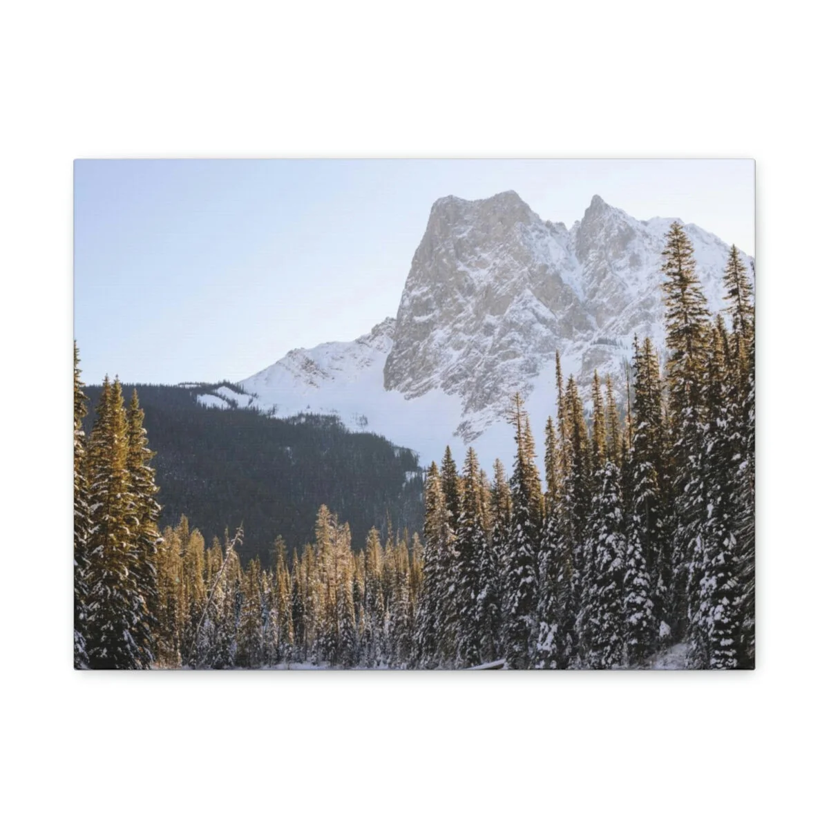 947a26043aab8d9a1a405f08d4ef2f14