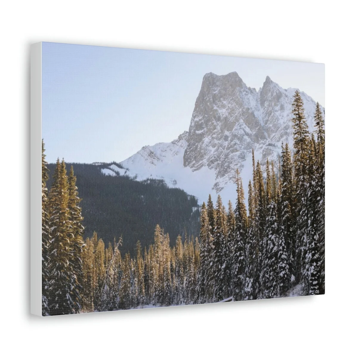 e33b021c42faadbb8ce9740e5f124e10