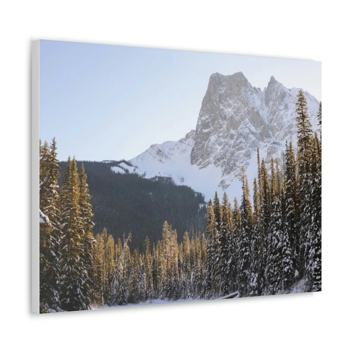 660193b861fedb8847032243e04567e0