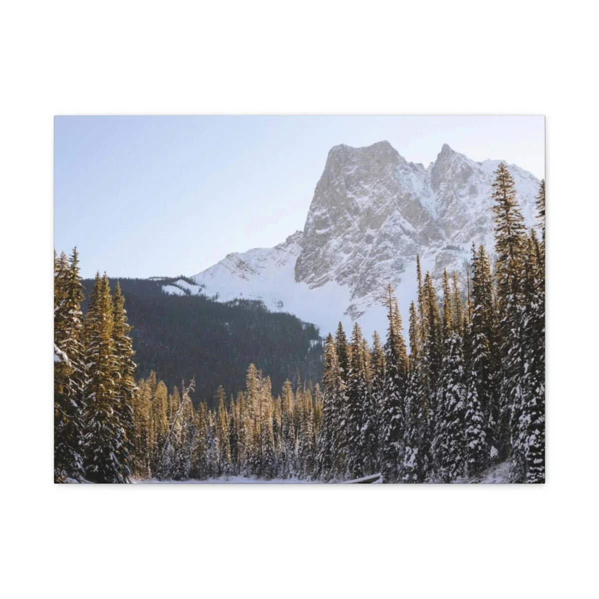 9a61988195ed35501994efc290769476