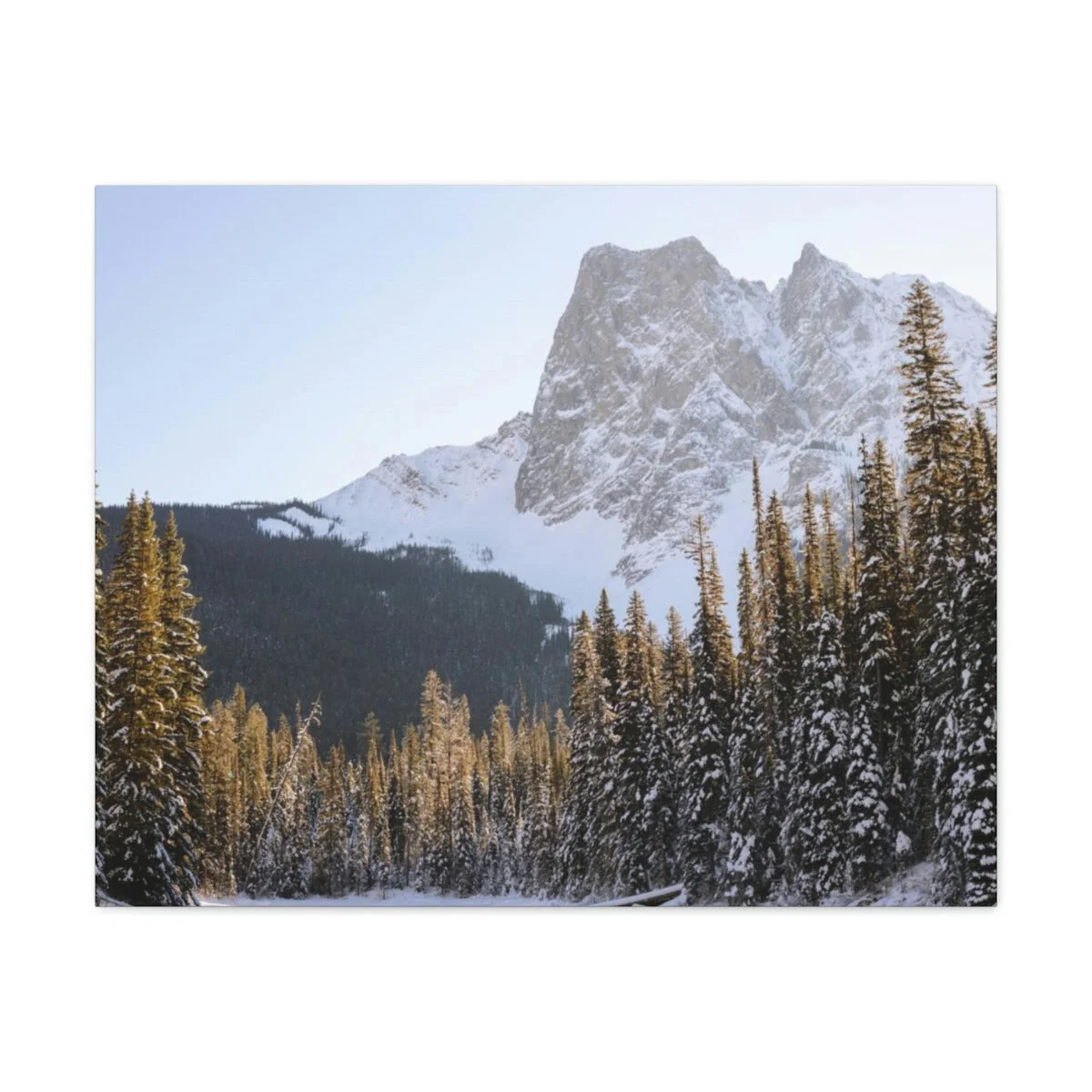 db67dbc8ef69377c43ad9773acdc02a9