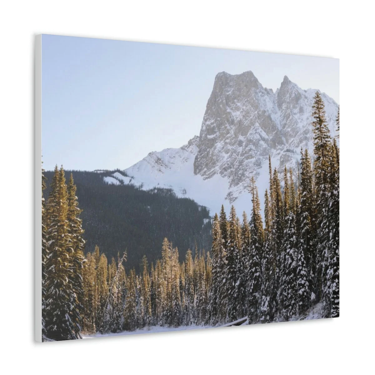 49b1d4d0abeb0bb2e37bffd0d362f613