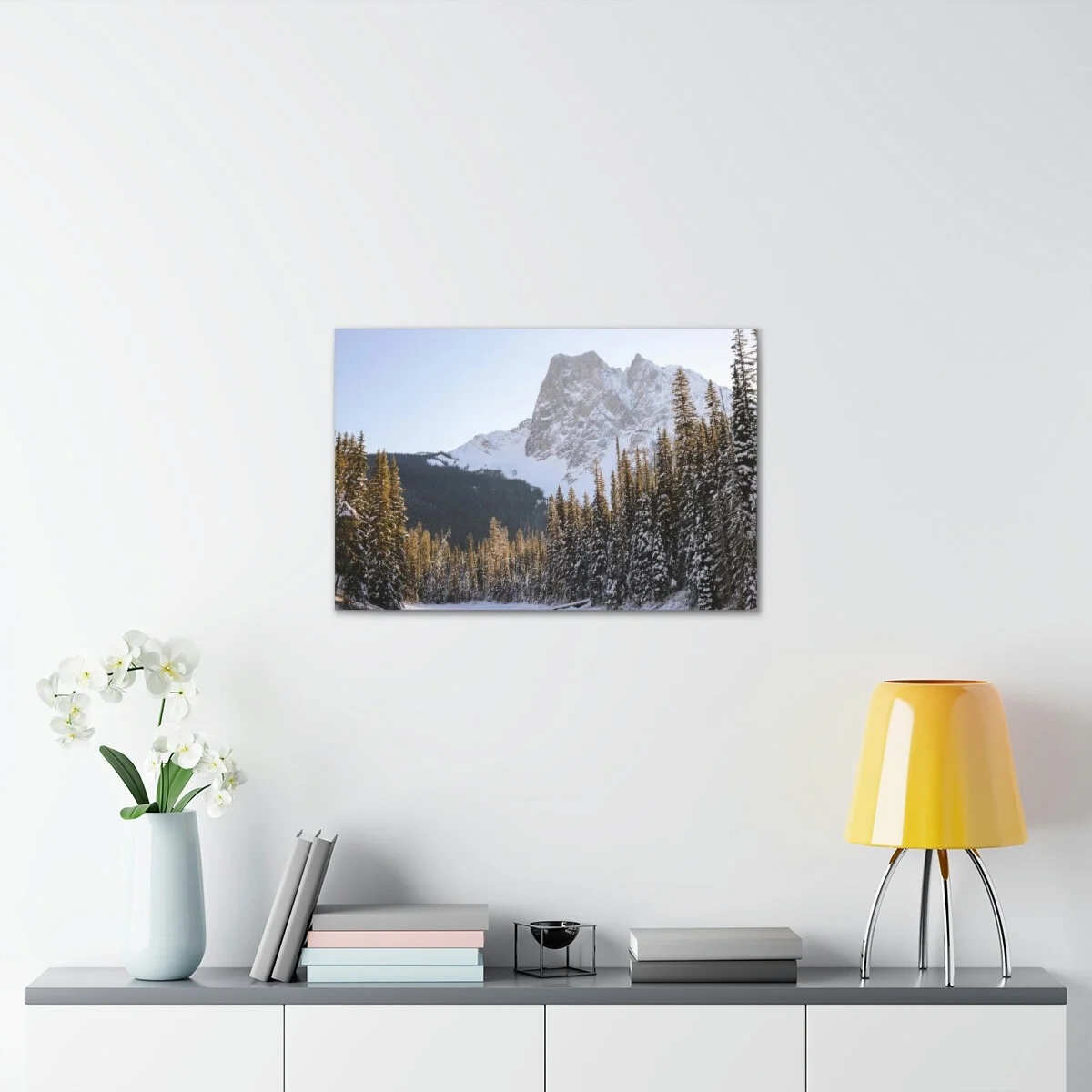 d426daf4f476fd464127c81a844d8bc9