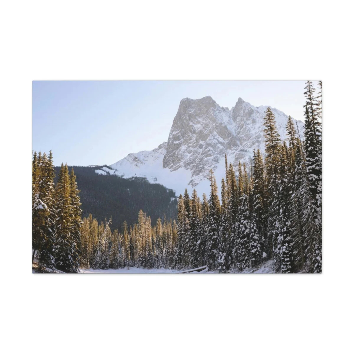 a924a6b642807903dbf195114bad5d0f